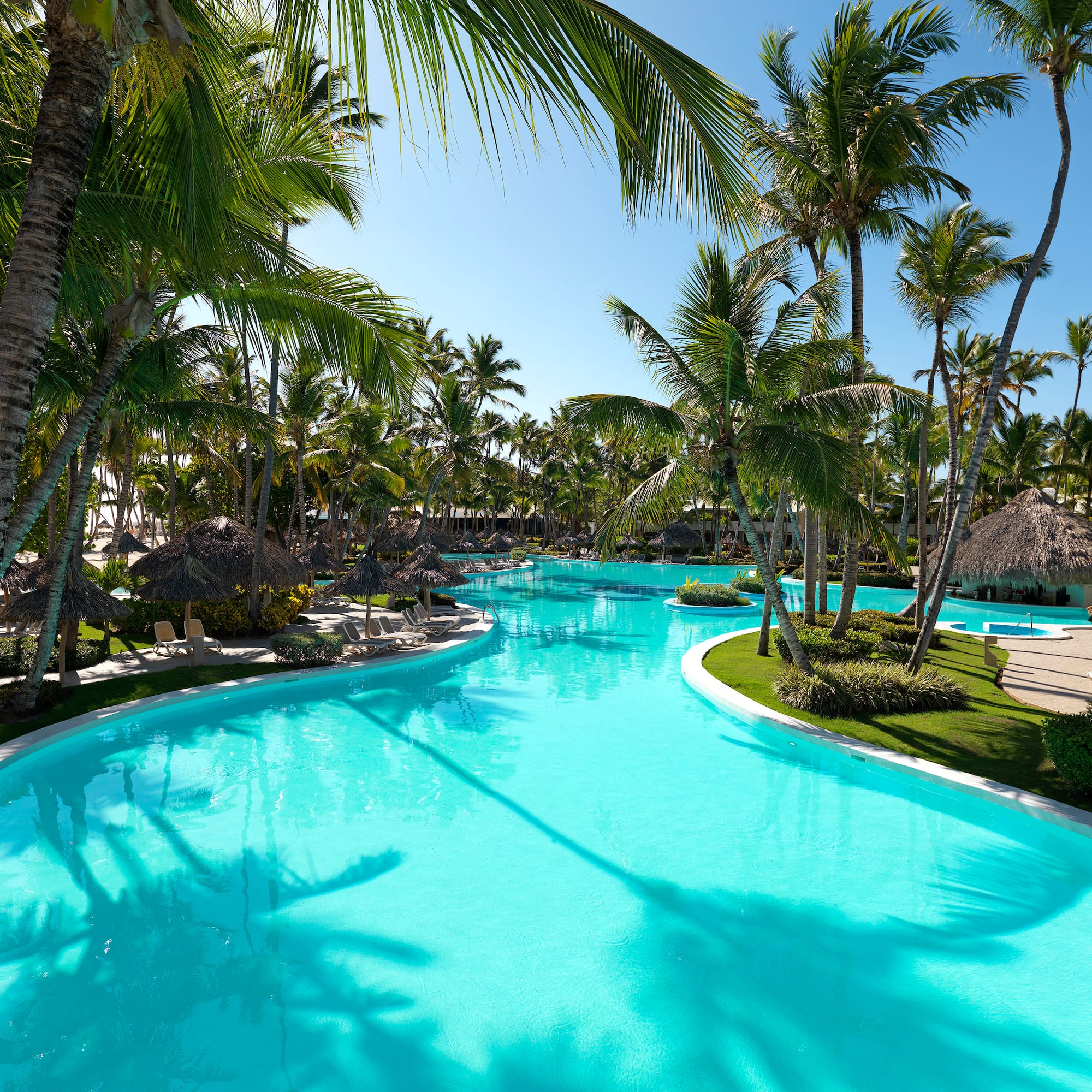 Sunny tropical resort pool with vibrant blue water and towering palm trees.