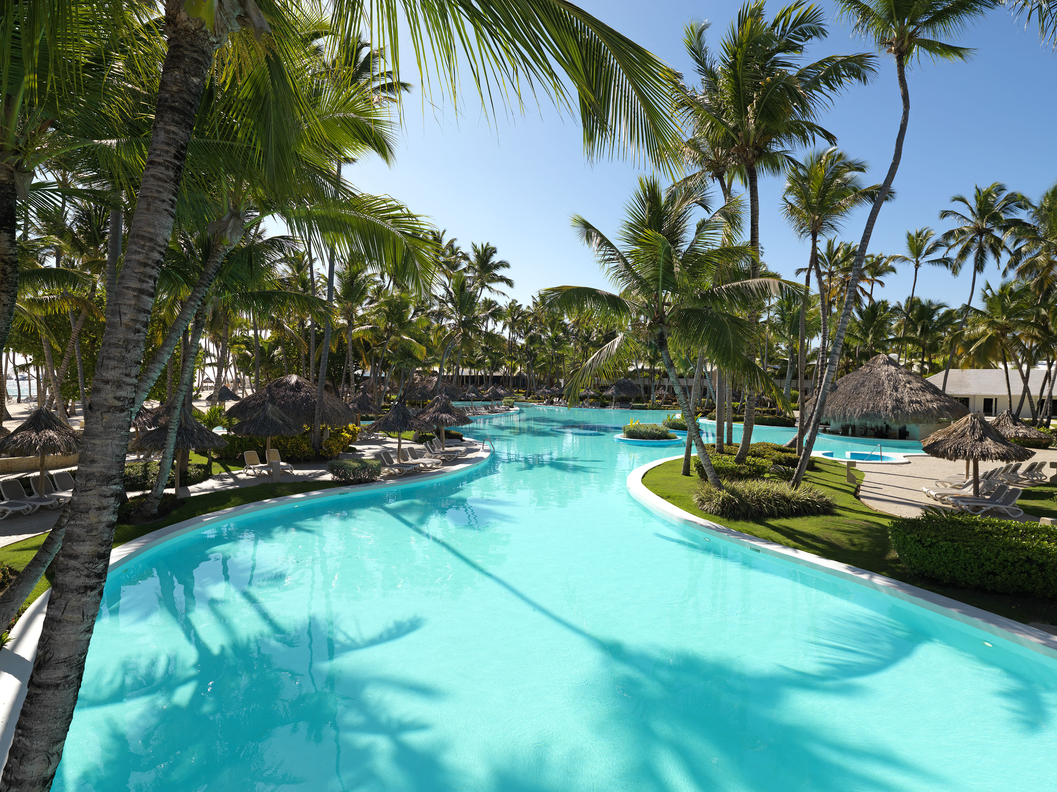 Sunny tropical resort pool with vibrant blue water and towering palm trees.