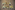 a gold letters on a wood surface