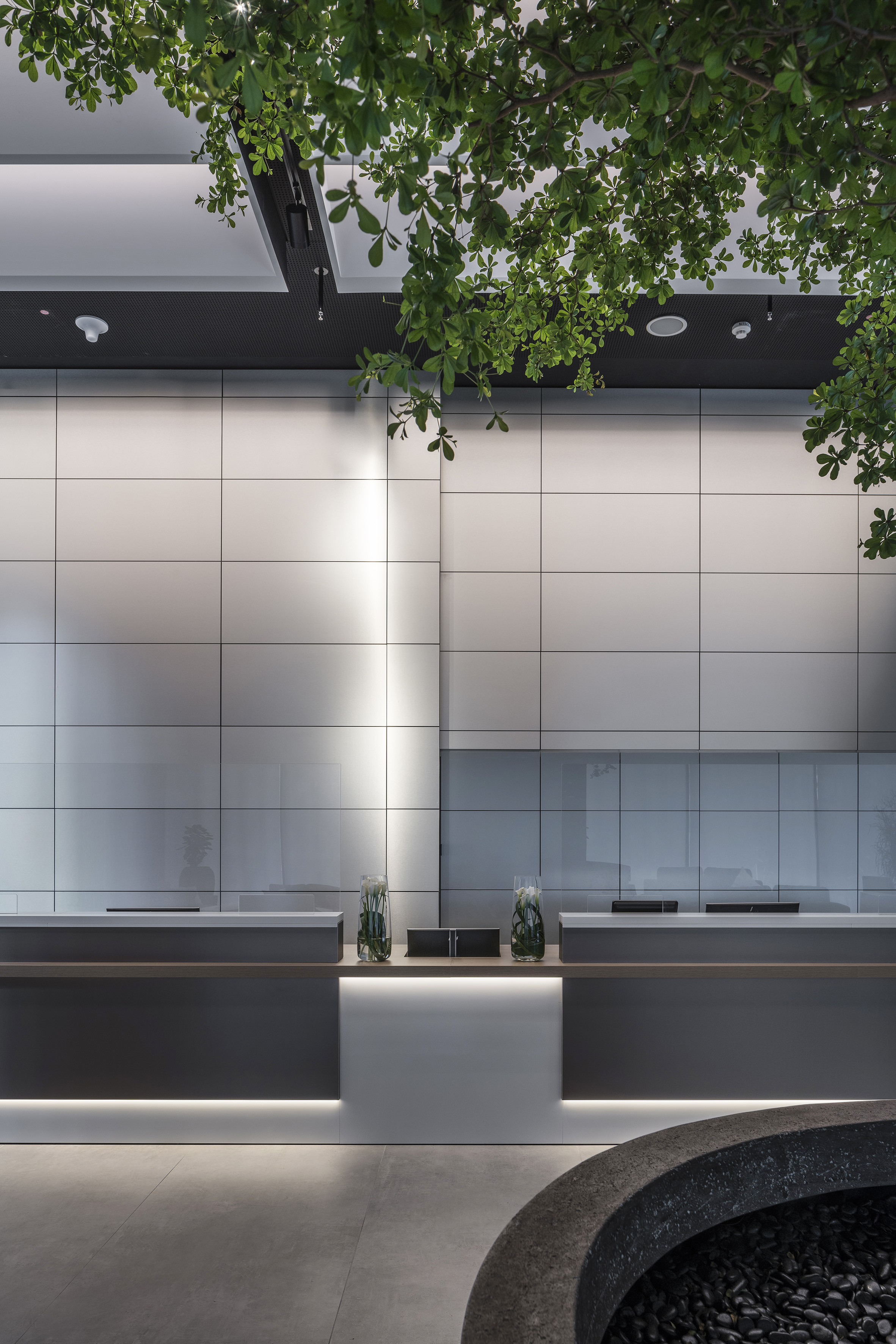 a reception desk with a white wall and a tree