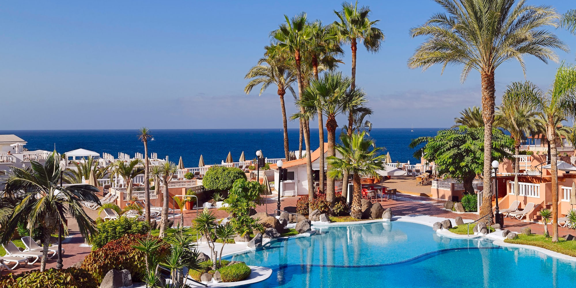 a pool with palm trees and a beach