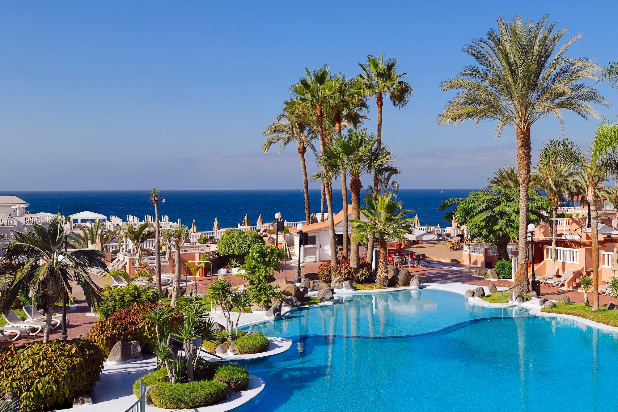a pool with palm trees and a beach