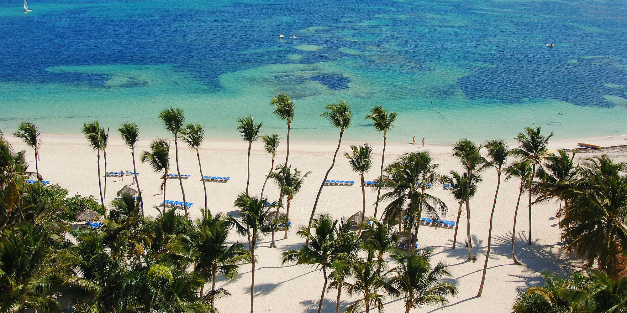 a beach with palm trees and blue water
