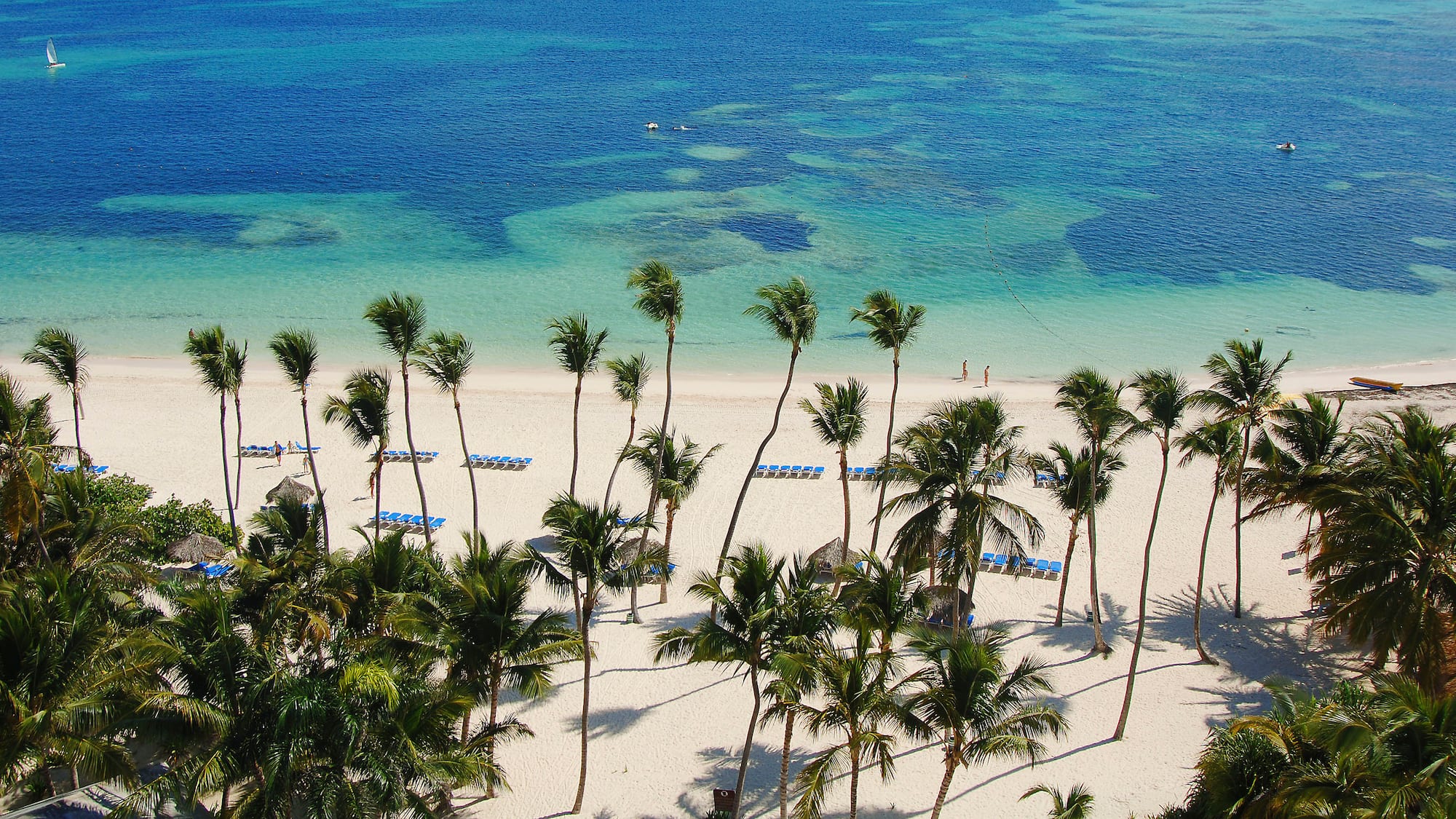 a beach with palm trees and blue water