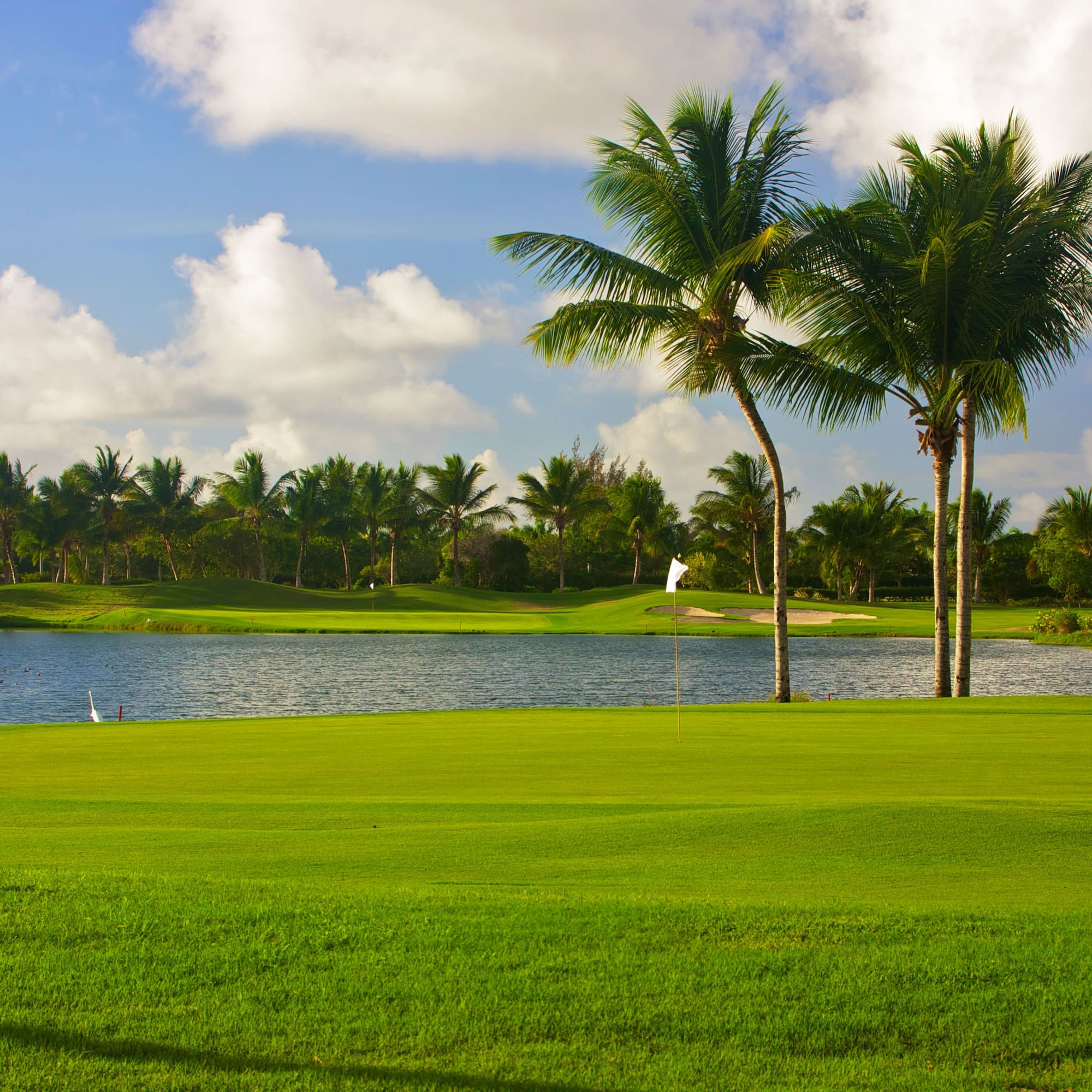 a golf course with palm trees and a lake