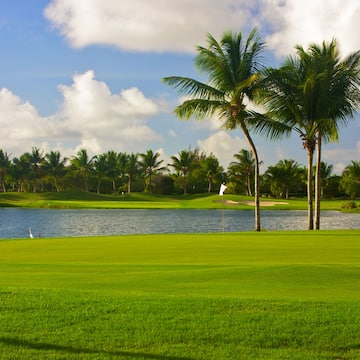 a golf course with palm trees and a lake