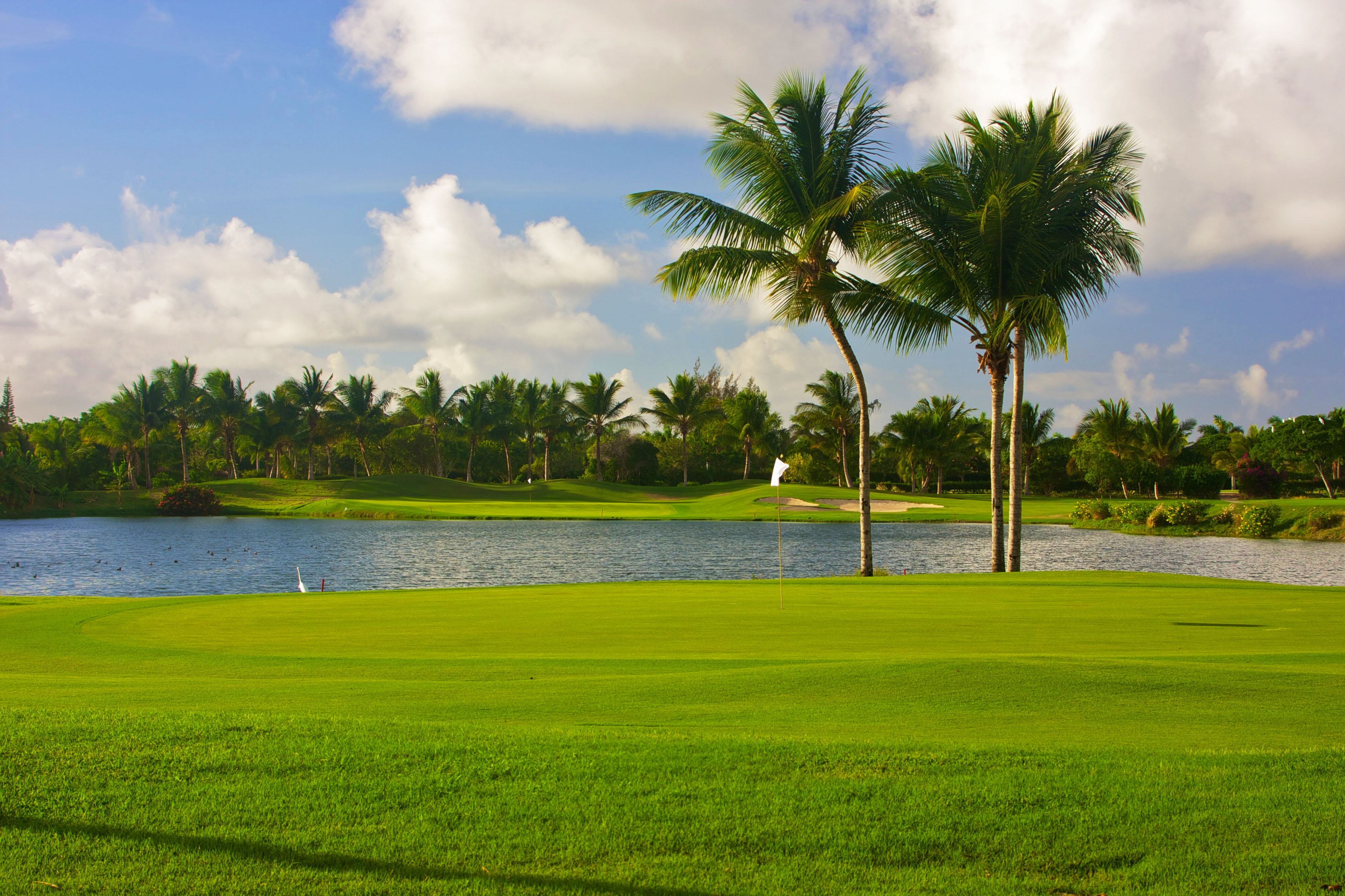 Tropical golf course with green, lake, palm trees, and a white flag.
