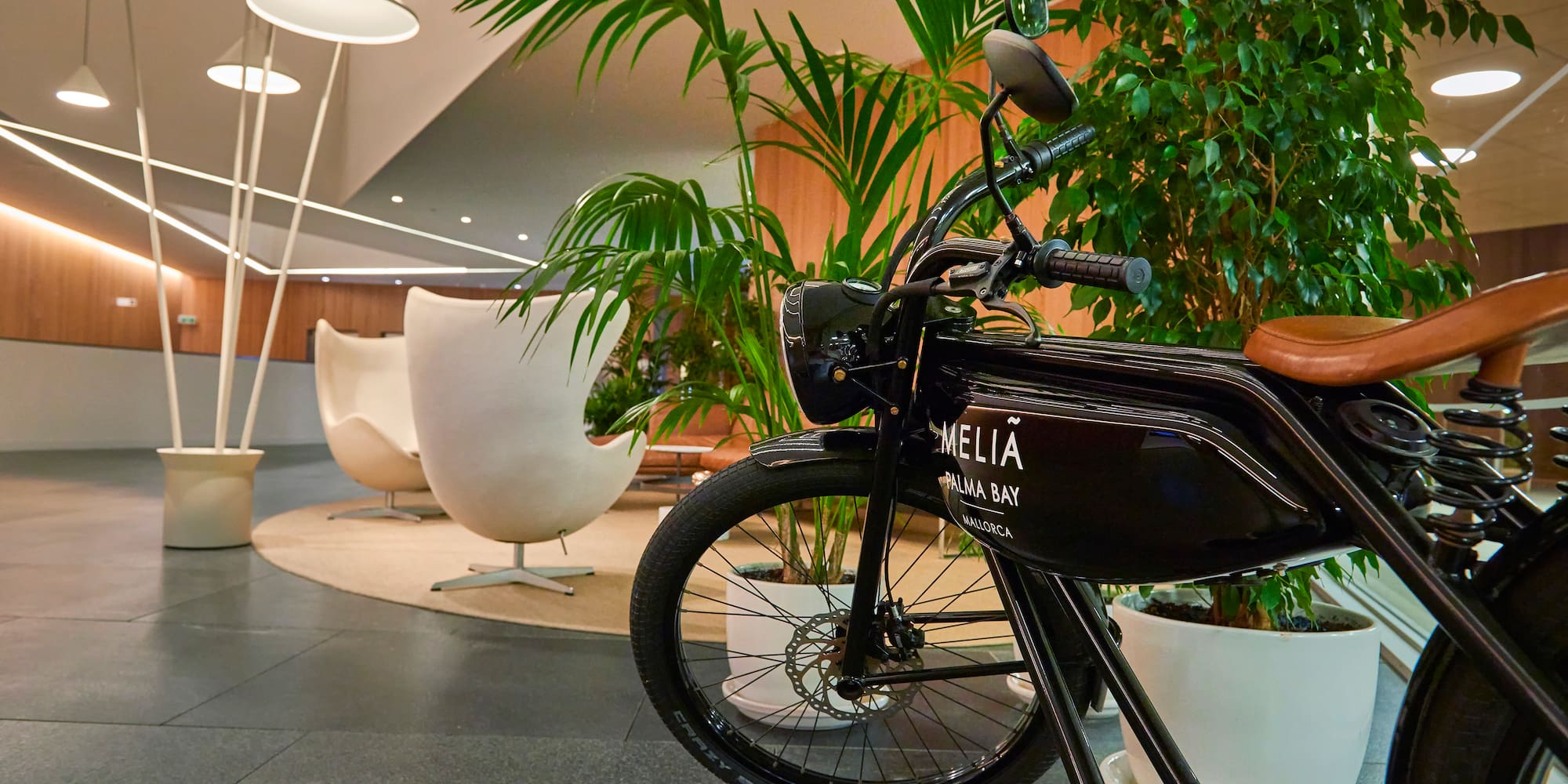 a bicycle in a room with plants