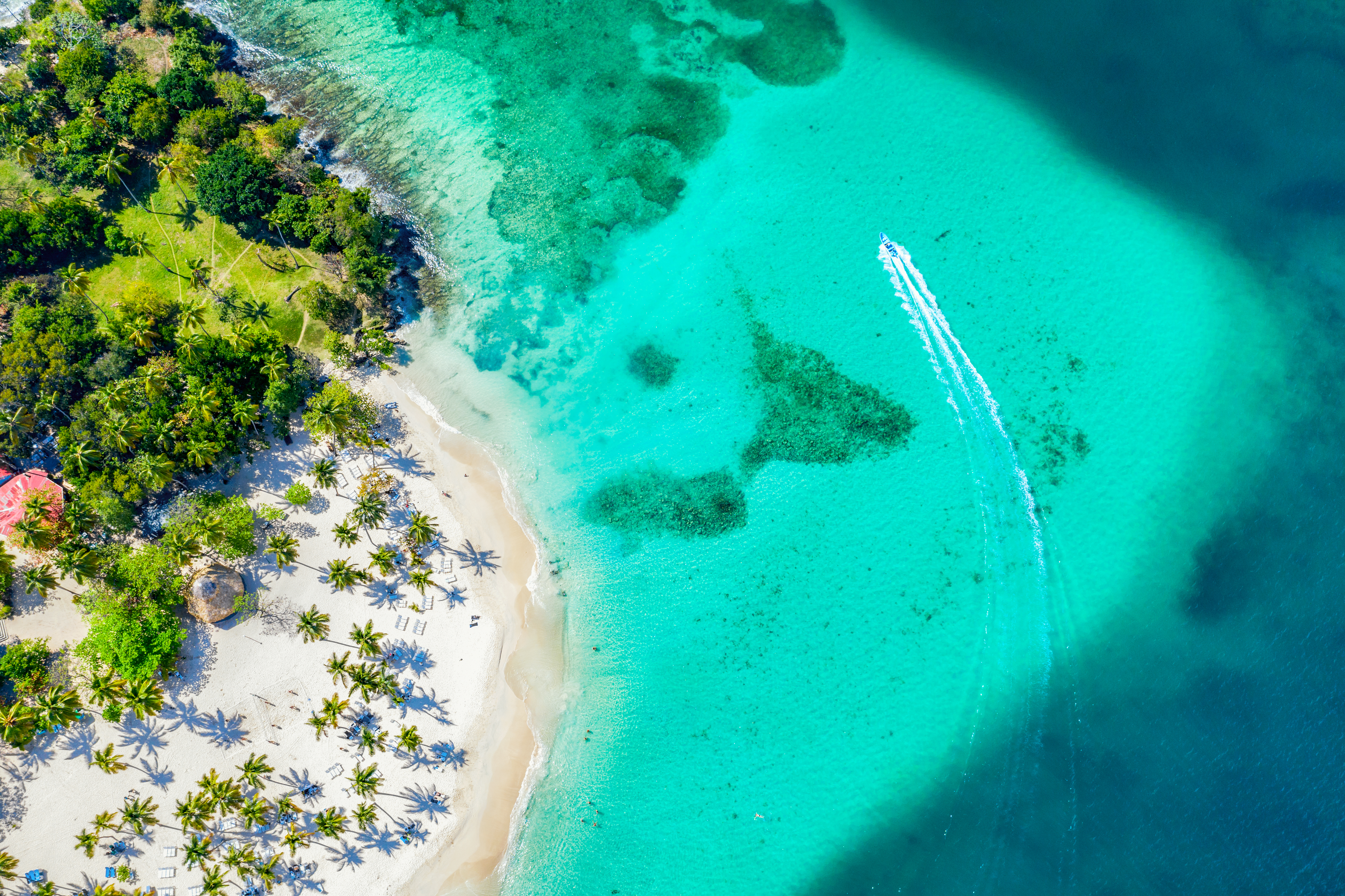 a beach with a boat in the water
