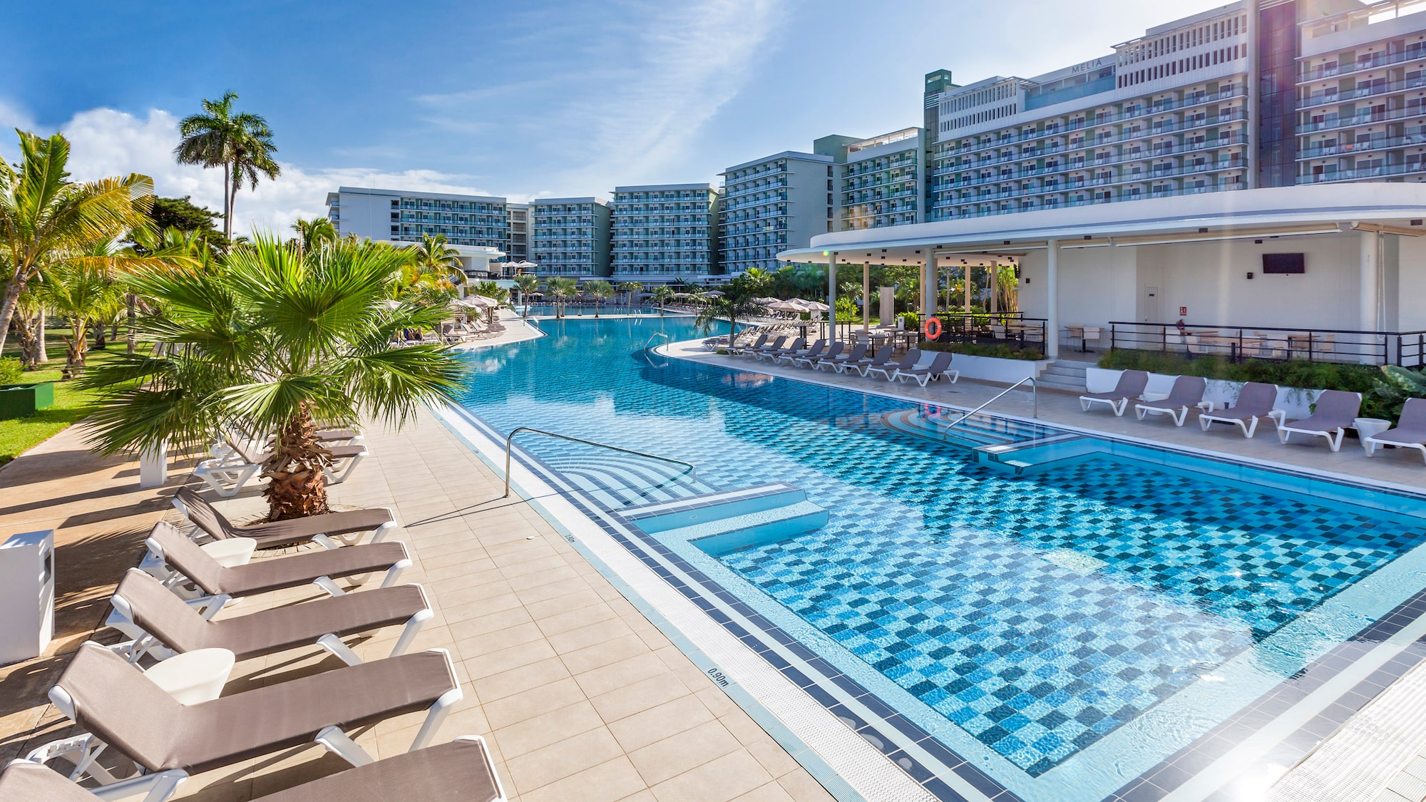 a pool with lounge chairs and palm trees