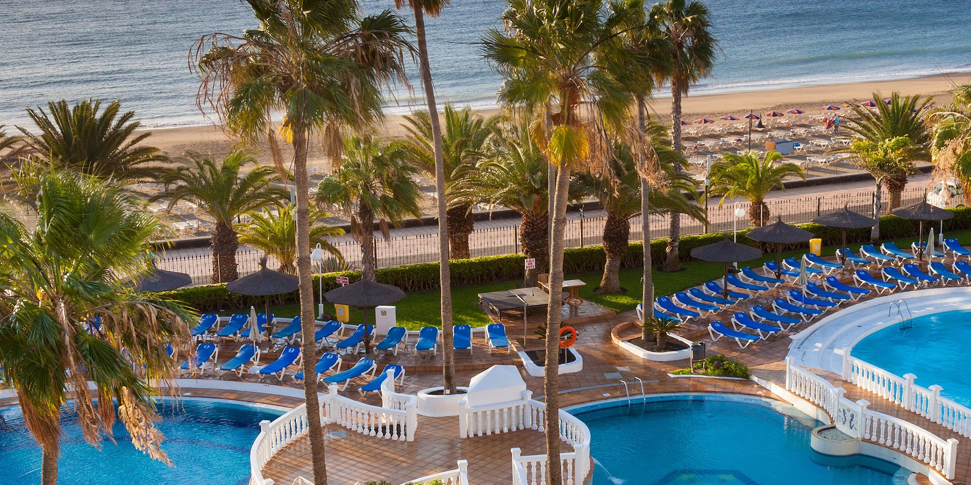 a swimming pool with palm trees and a beach
