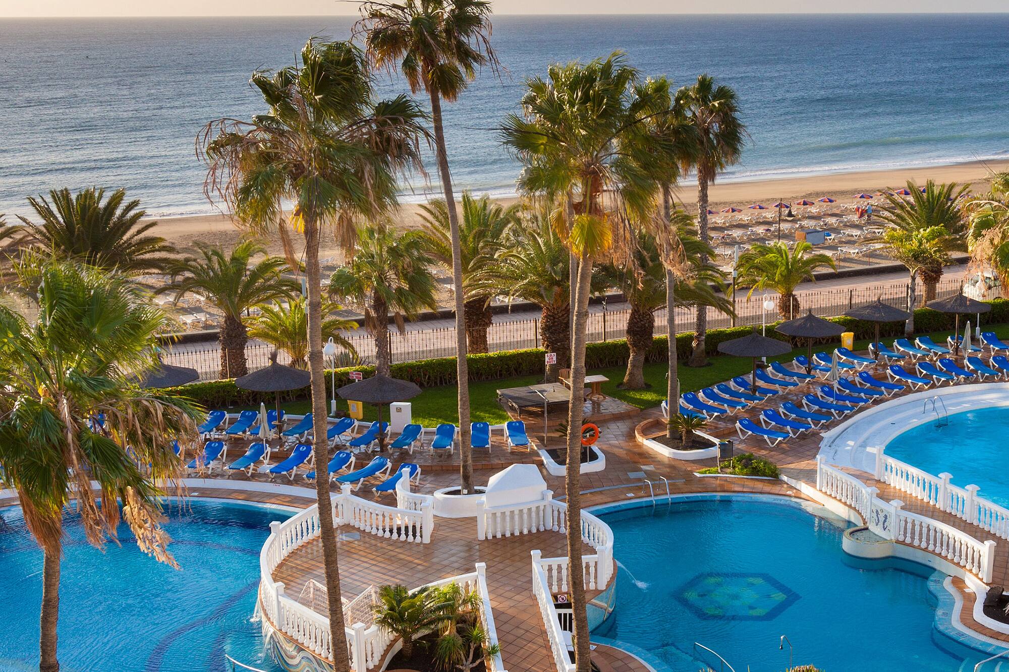 a swimming pool with palm trees and a beach