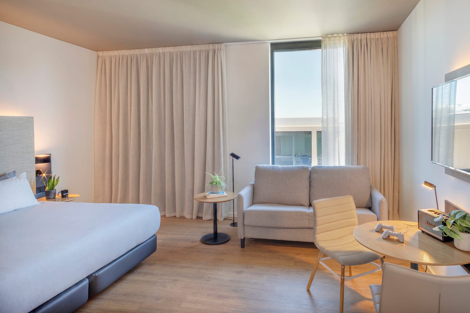 a room with a bed and a couch