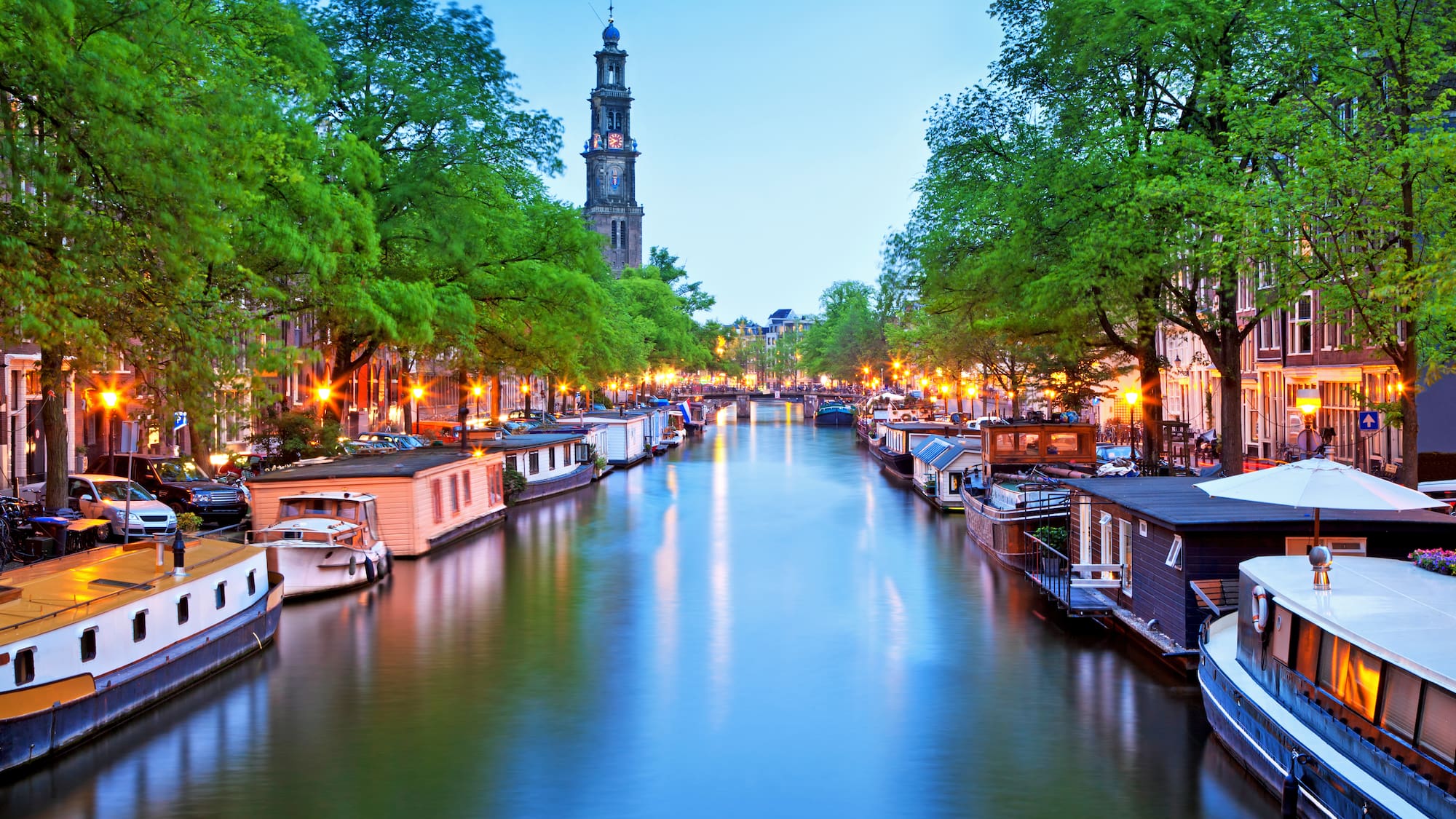 a river with boats and trees around it