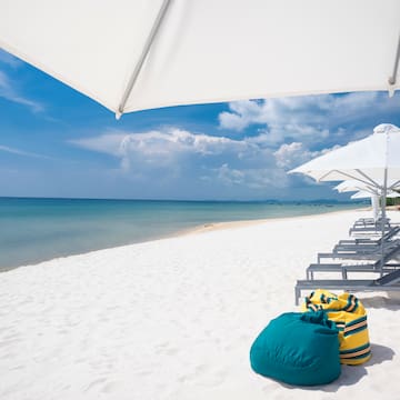 a beach with chairs and umbrellas