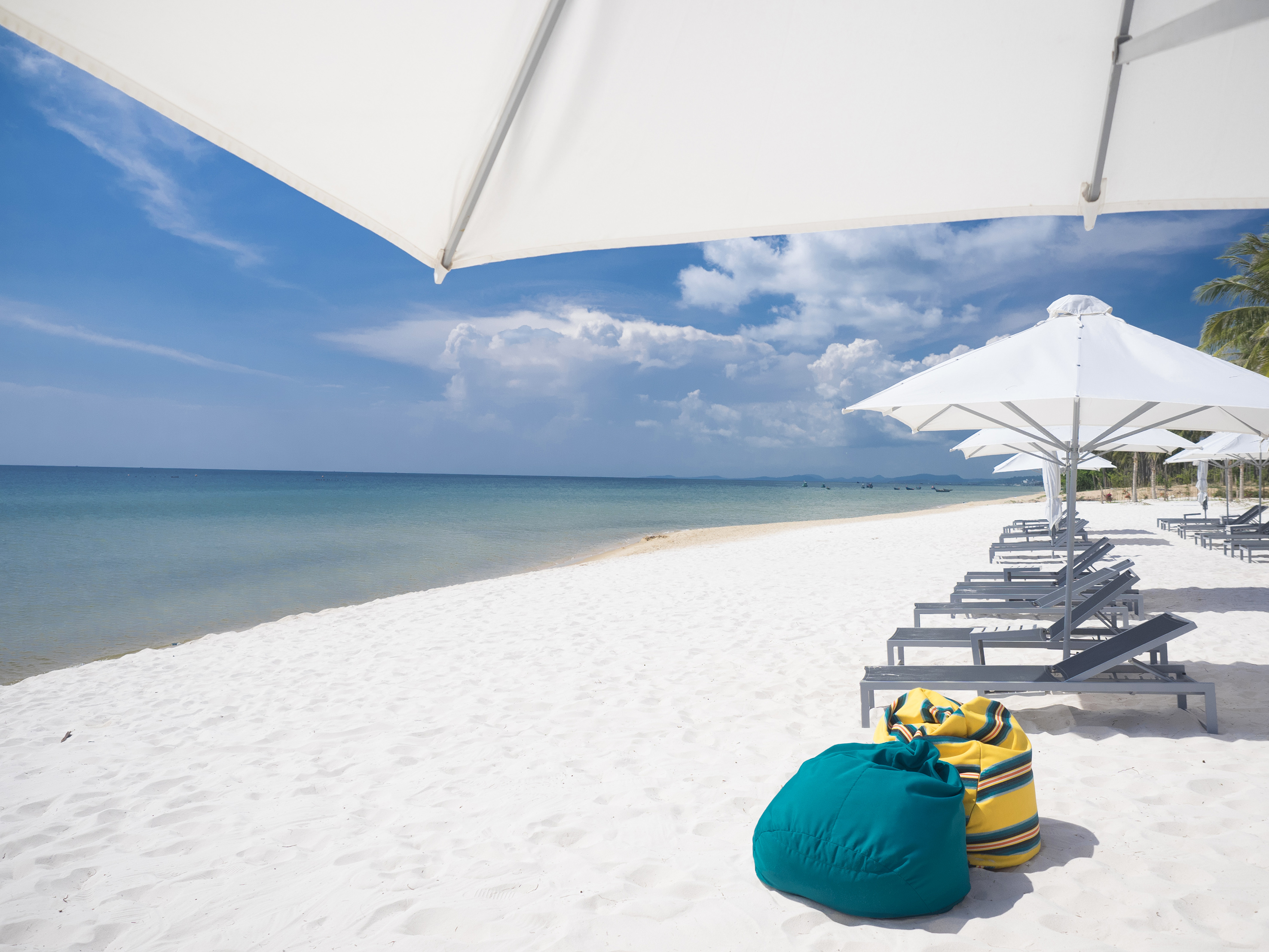 a beach with chairs and umbrellas