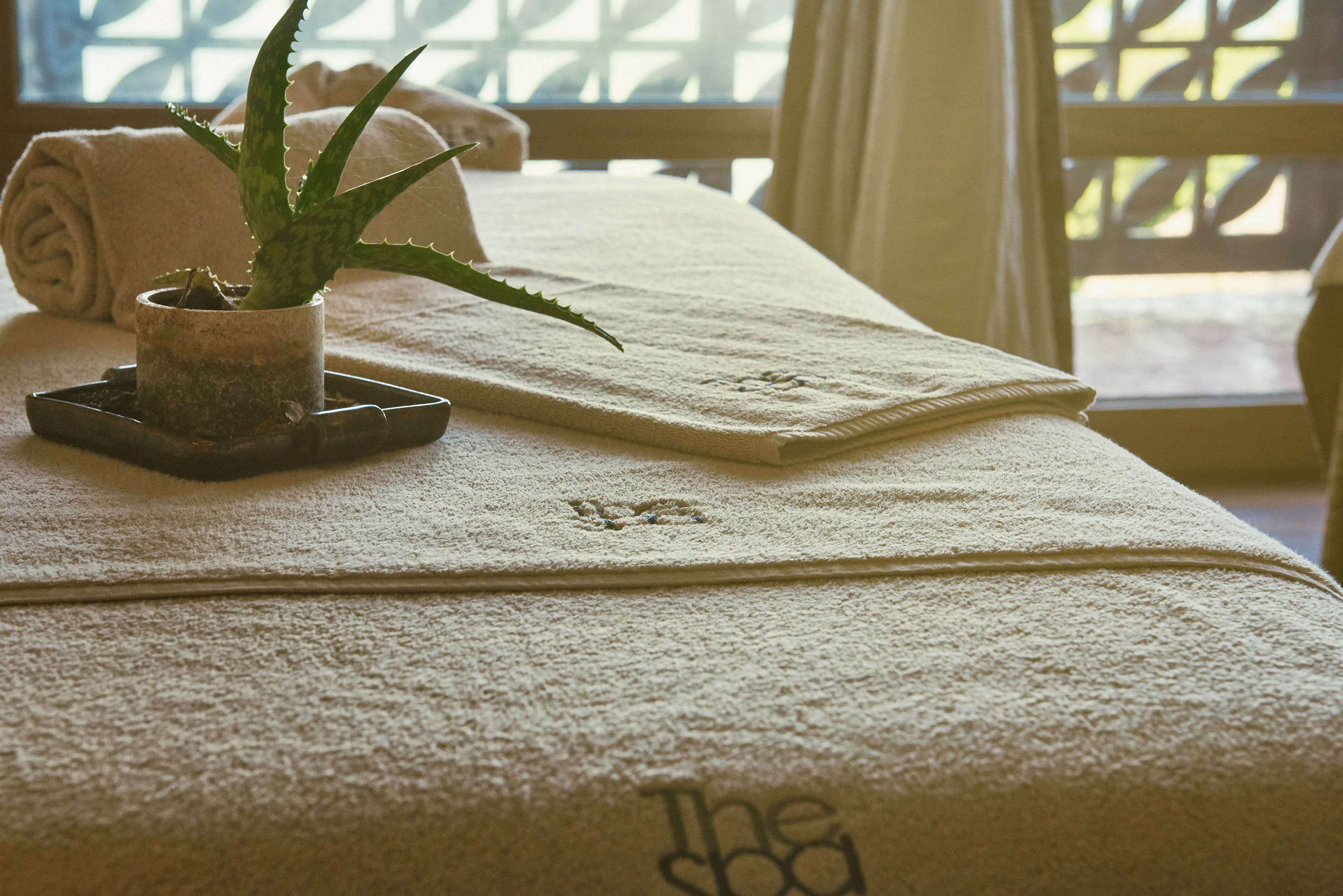Spa massage table with aloe vera plant and beige towels.