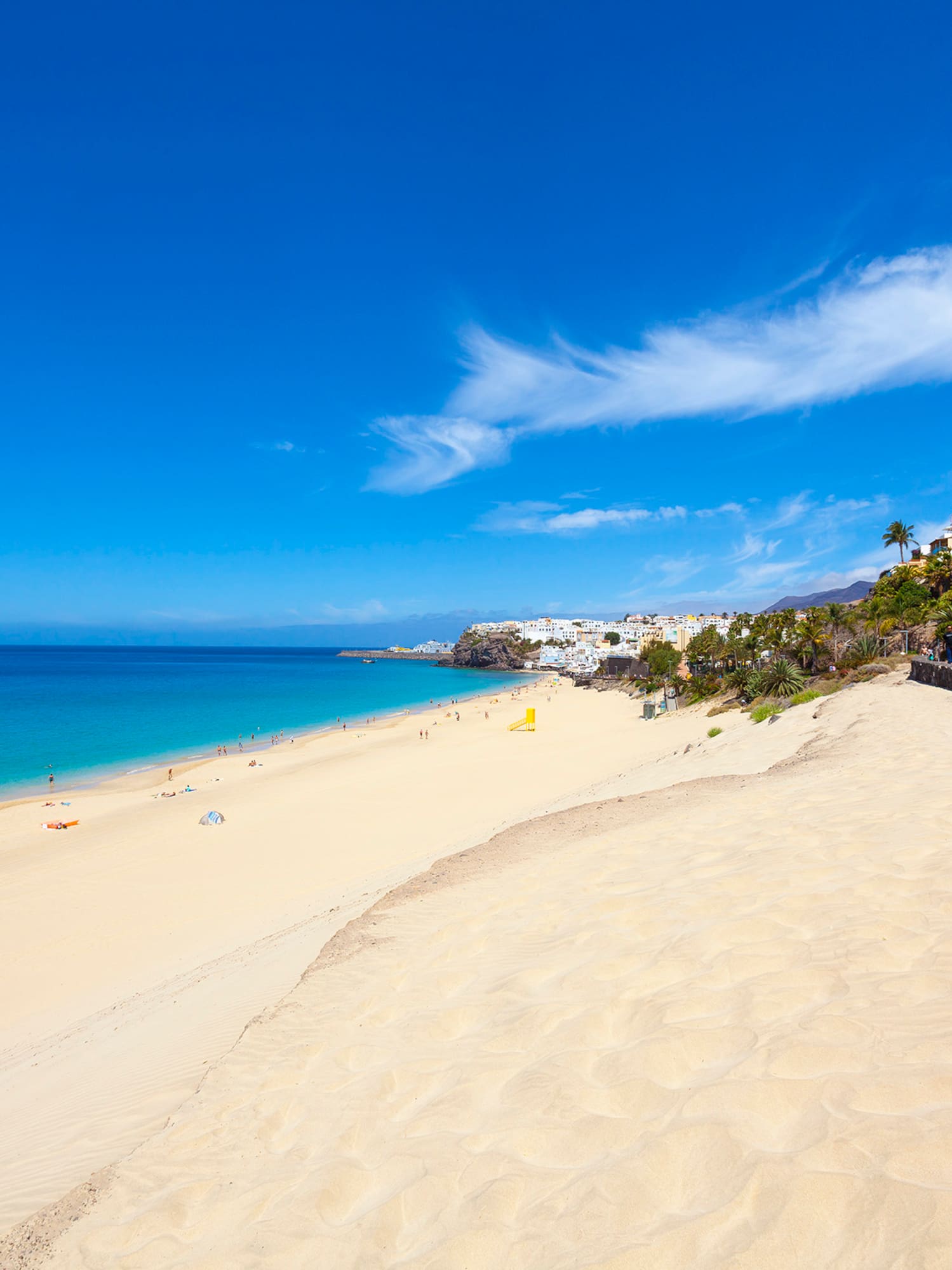 a beach with palm trees and blue water