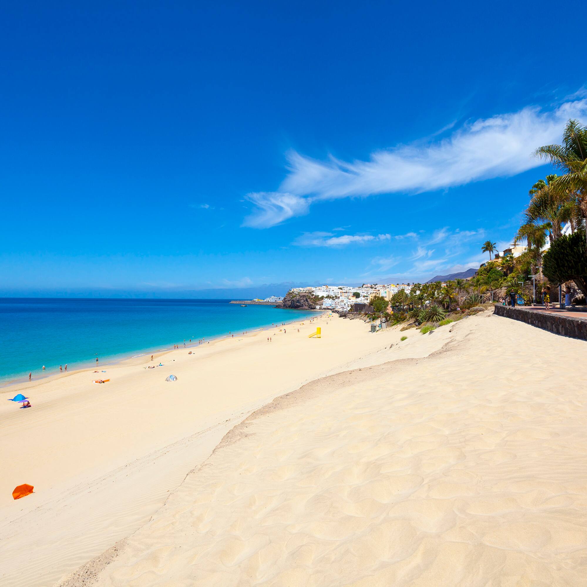 a beach with palm trees and blue water
