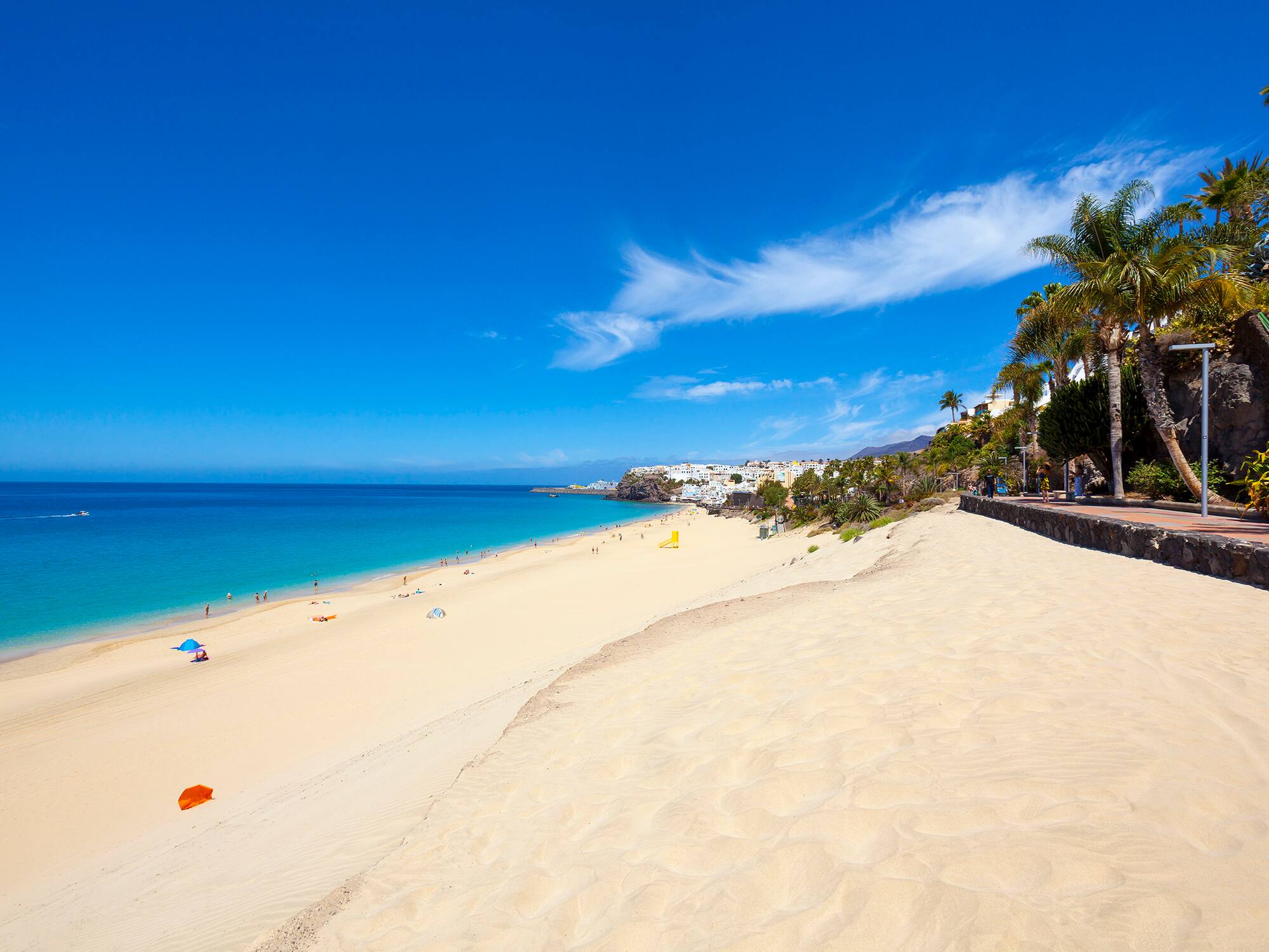 a beach with palm trees and blue water