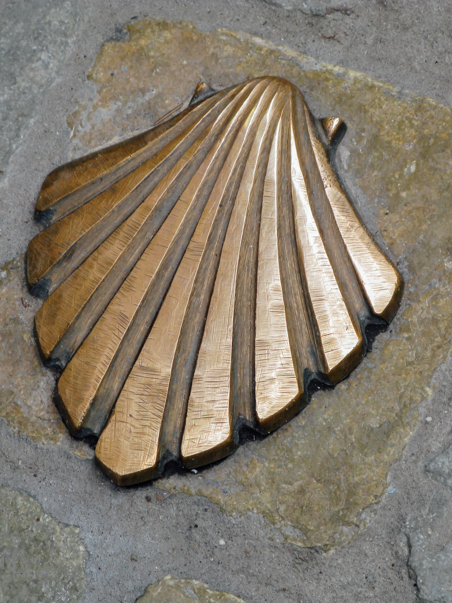 a bronze shell on a stone surface