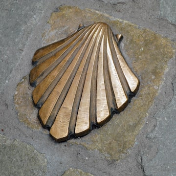 uma concha de bronze em uma superfície de pedra