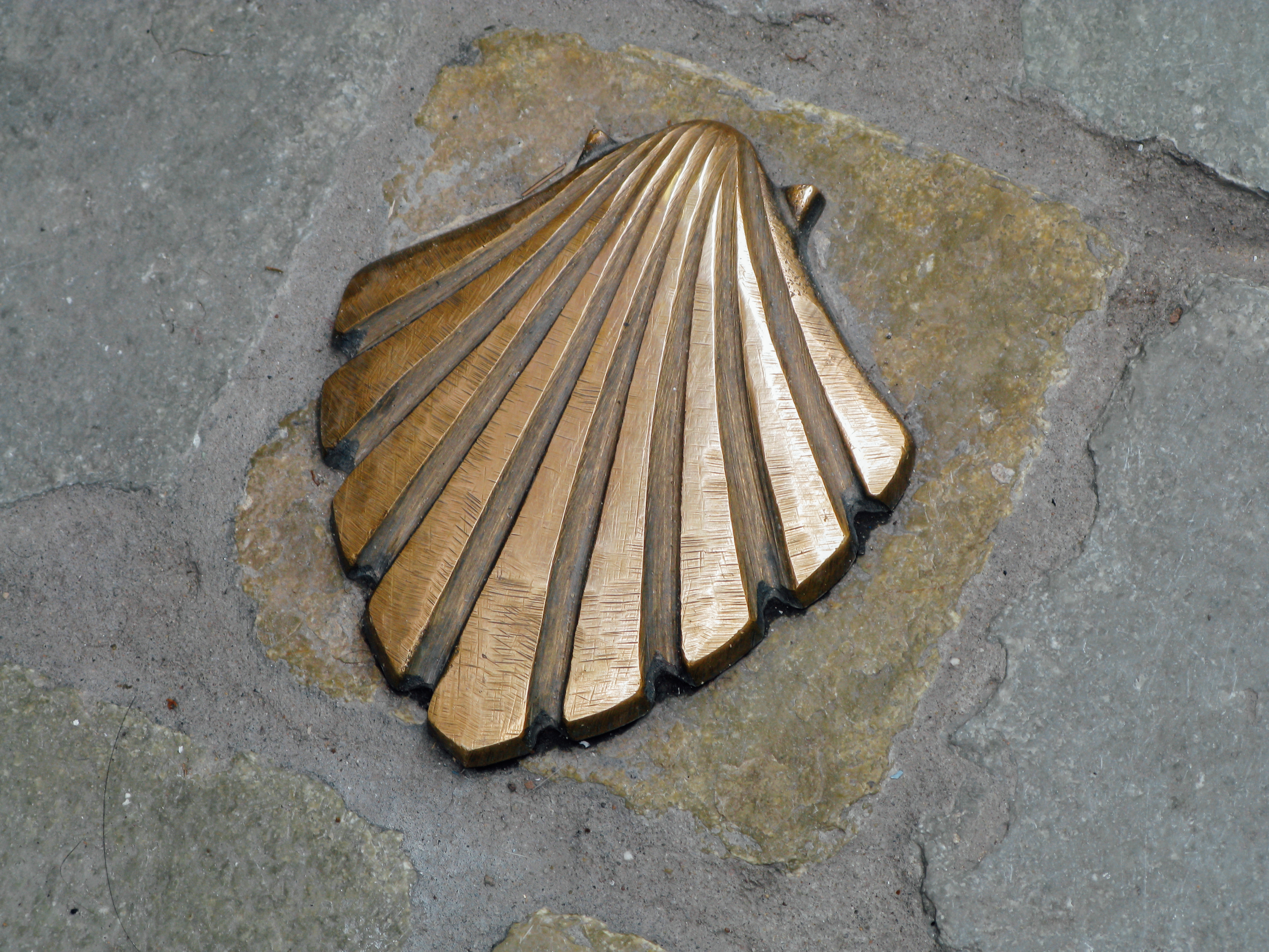 Brass scallop shell embedded in a stone path, Camino de Santiago marker.