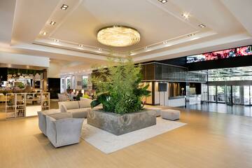 a large room with a plant in it