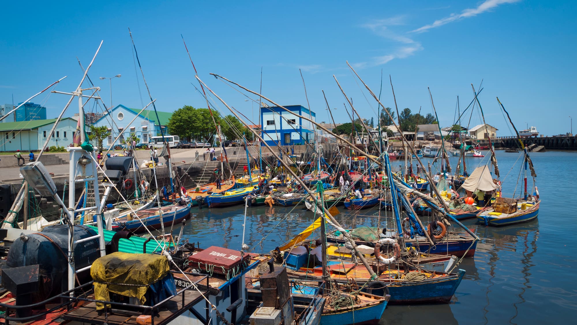 a group of boats in a harbor
