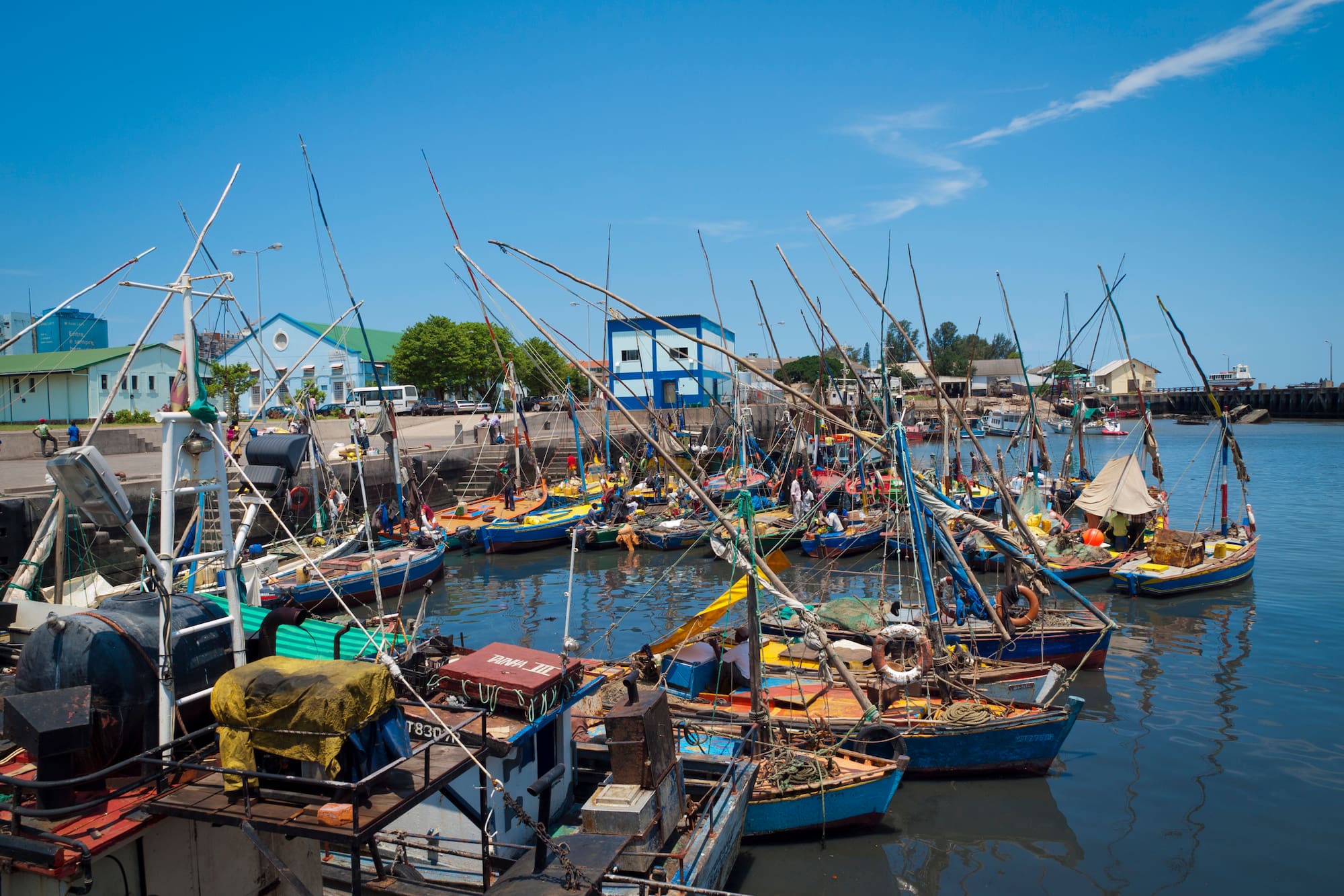 a group of boats in a harbor