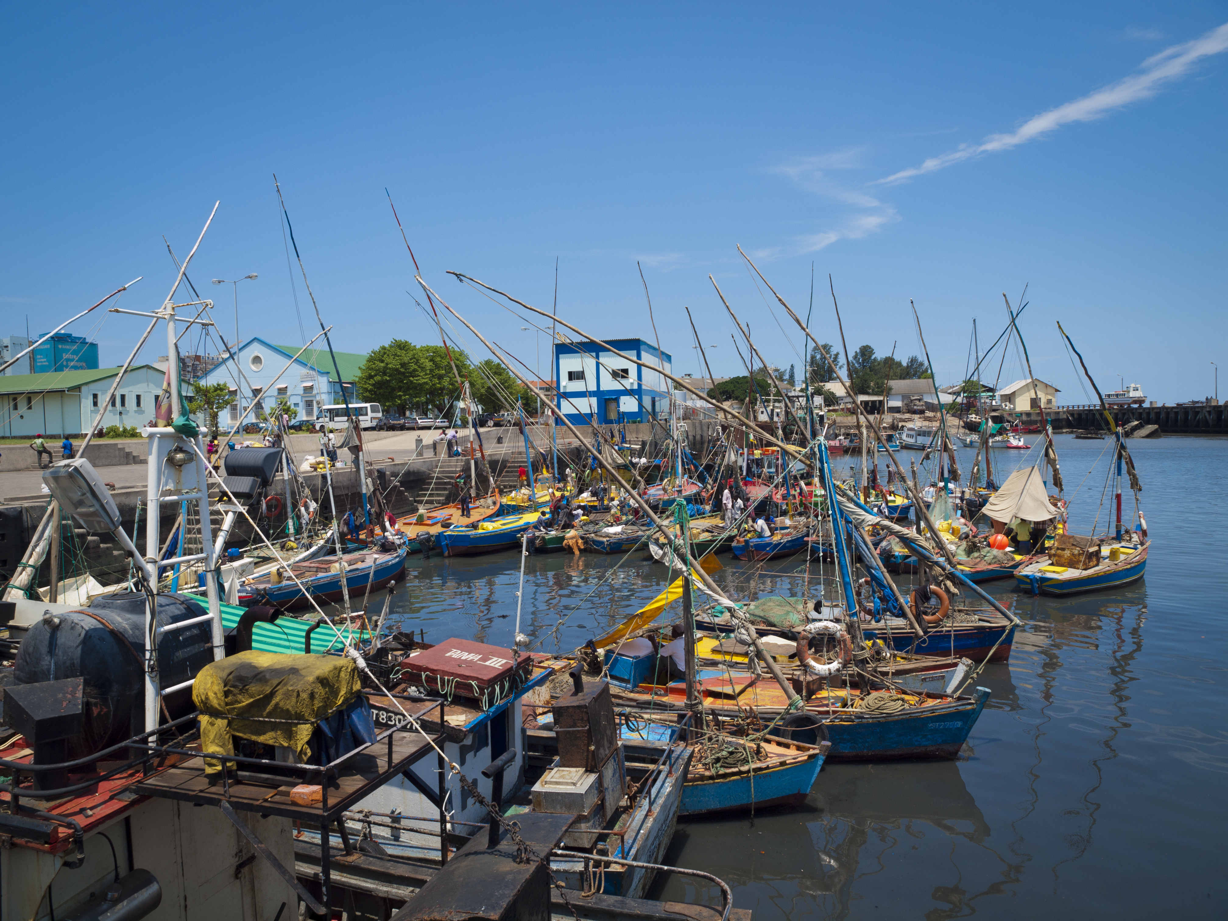 a group of boats in a harbor
