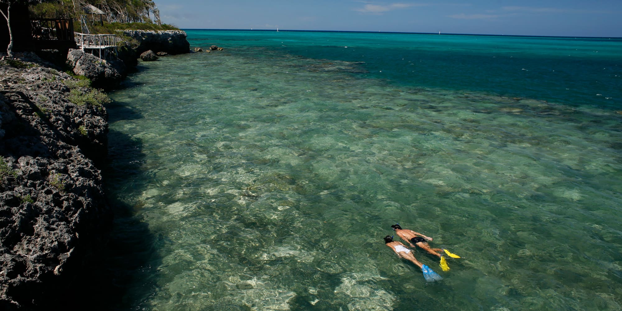 people snorkeling in the water