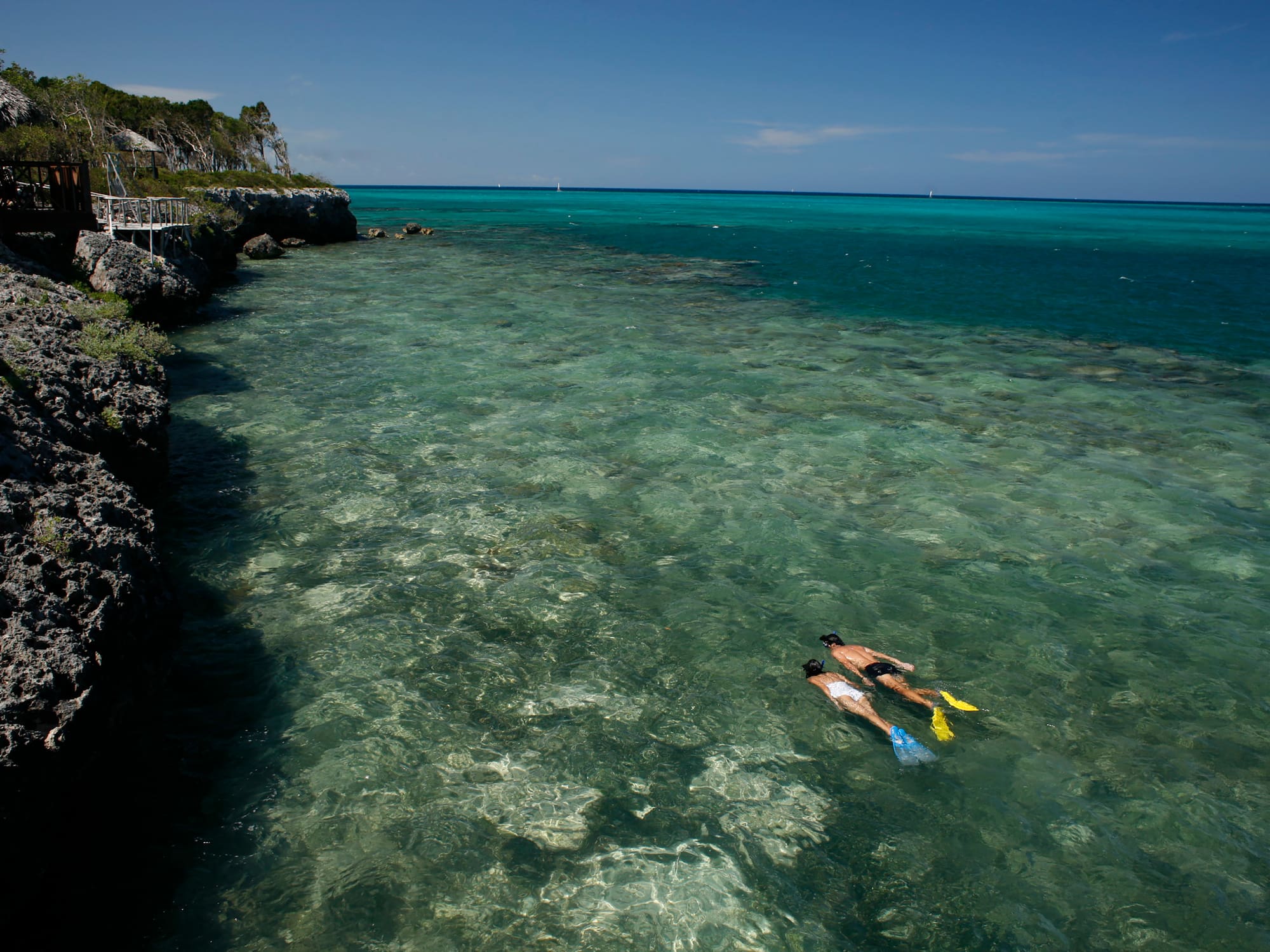 people snorkeling in the water