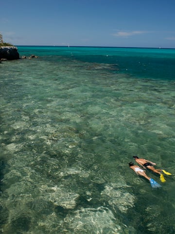 people snorkeling in the water