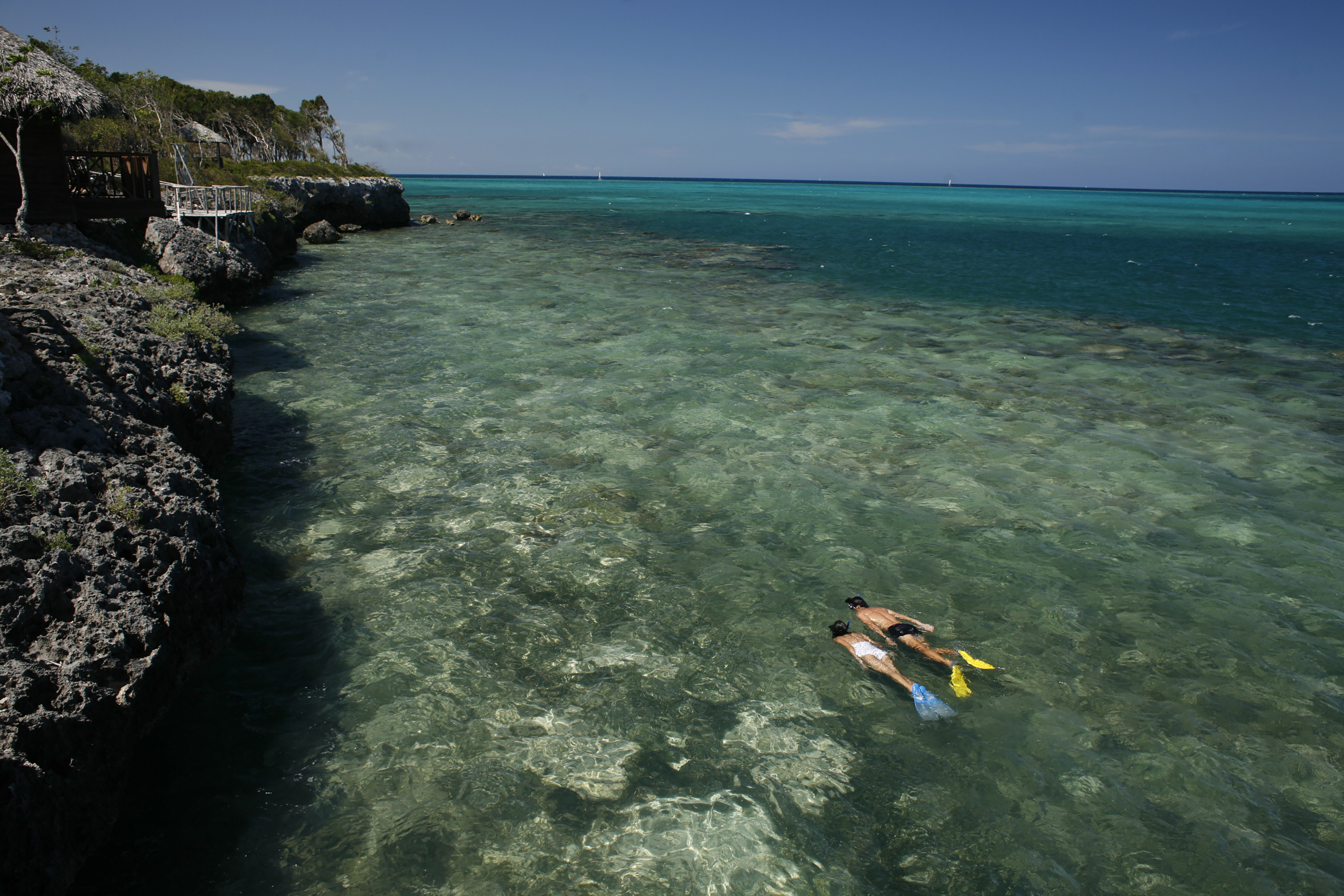 people snorkeling in the water