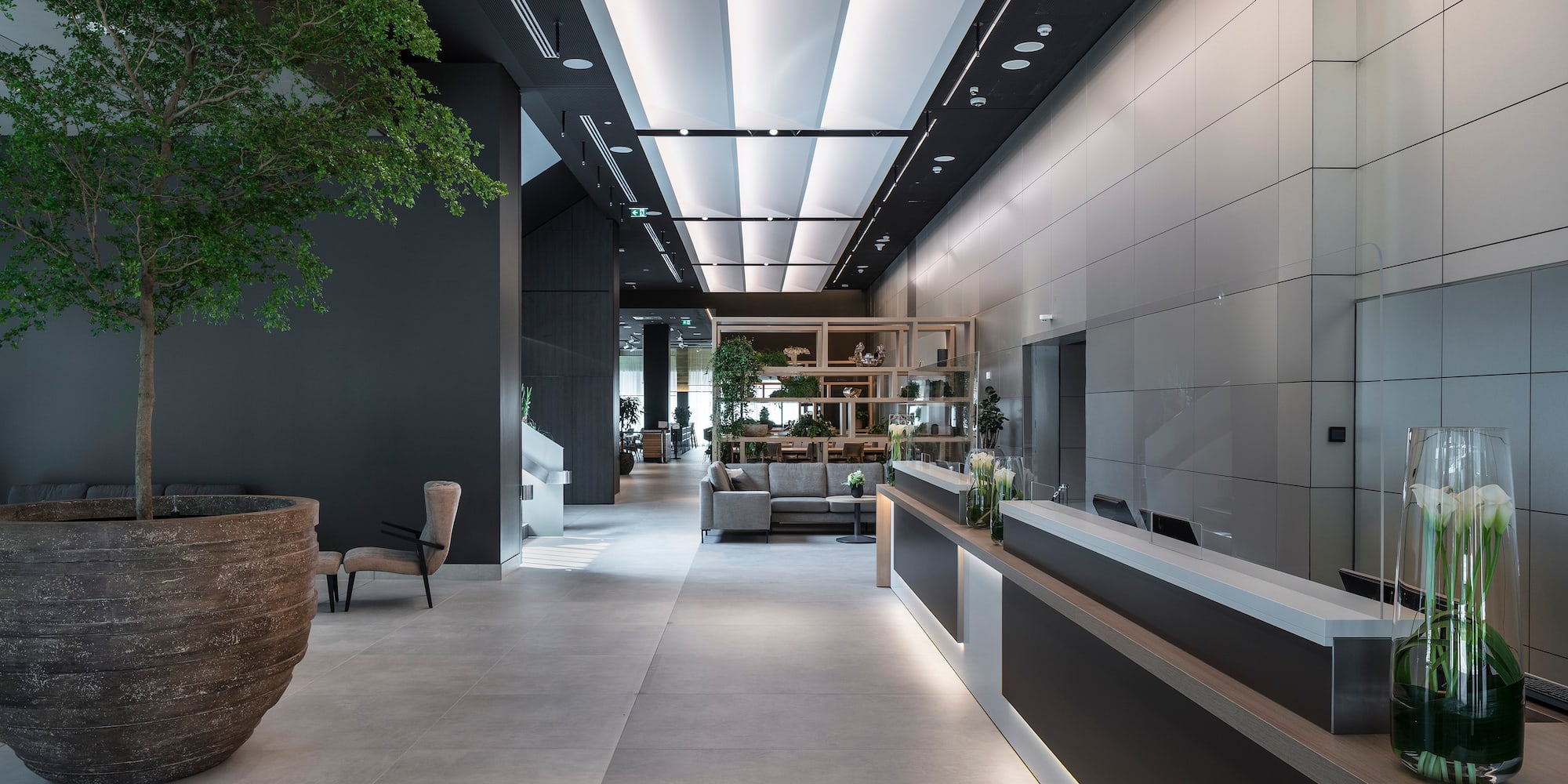 a lobby with a large tree and a large plant