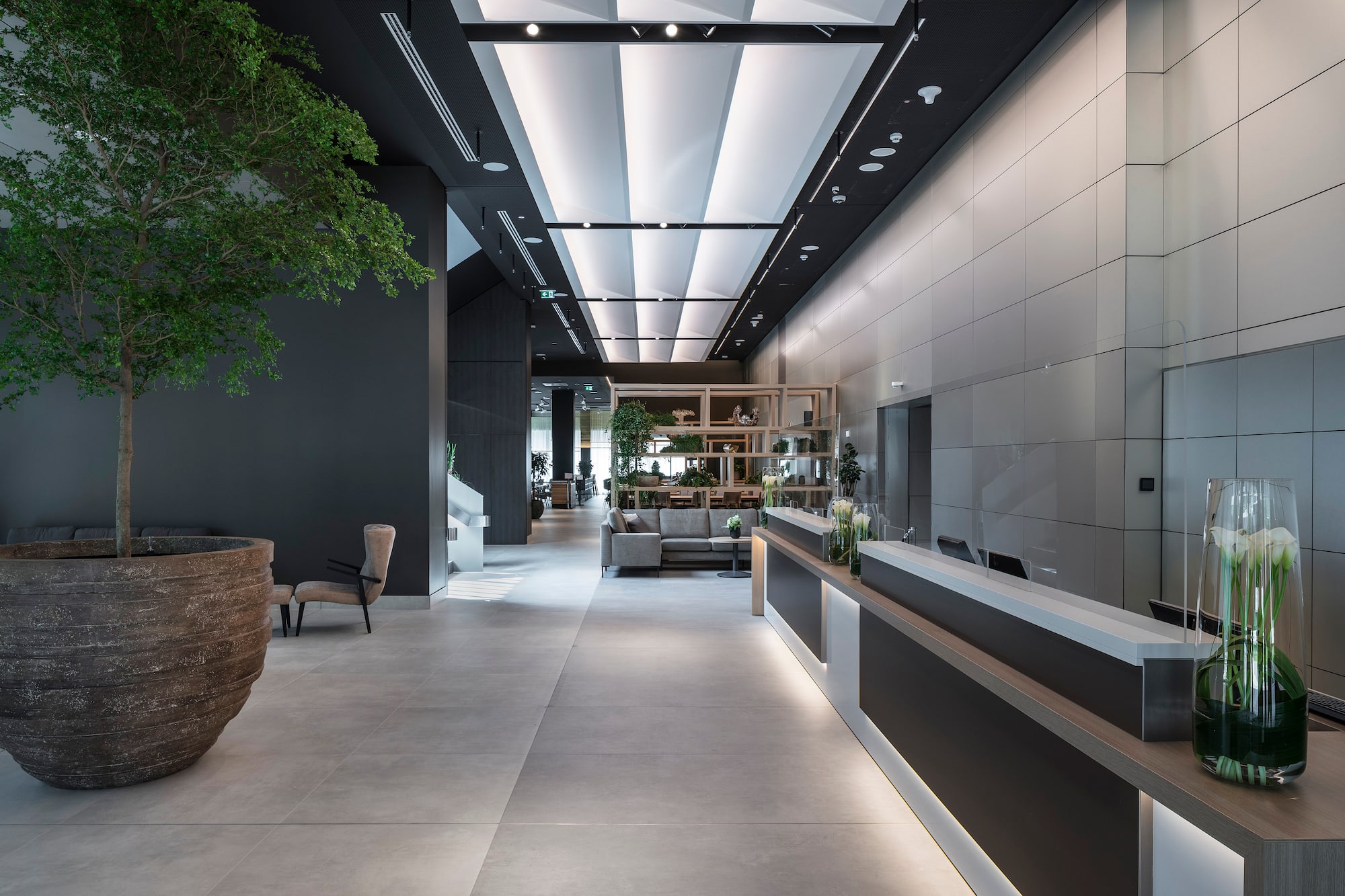 Modern hotel lobby with reception desk, large tree, and minimalist grey interior.