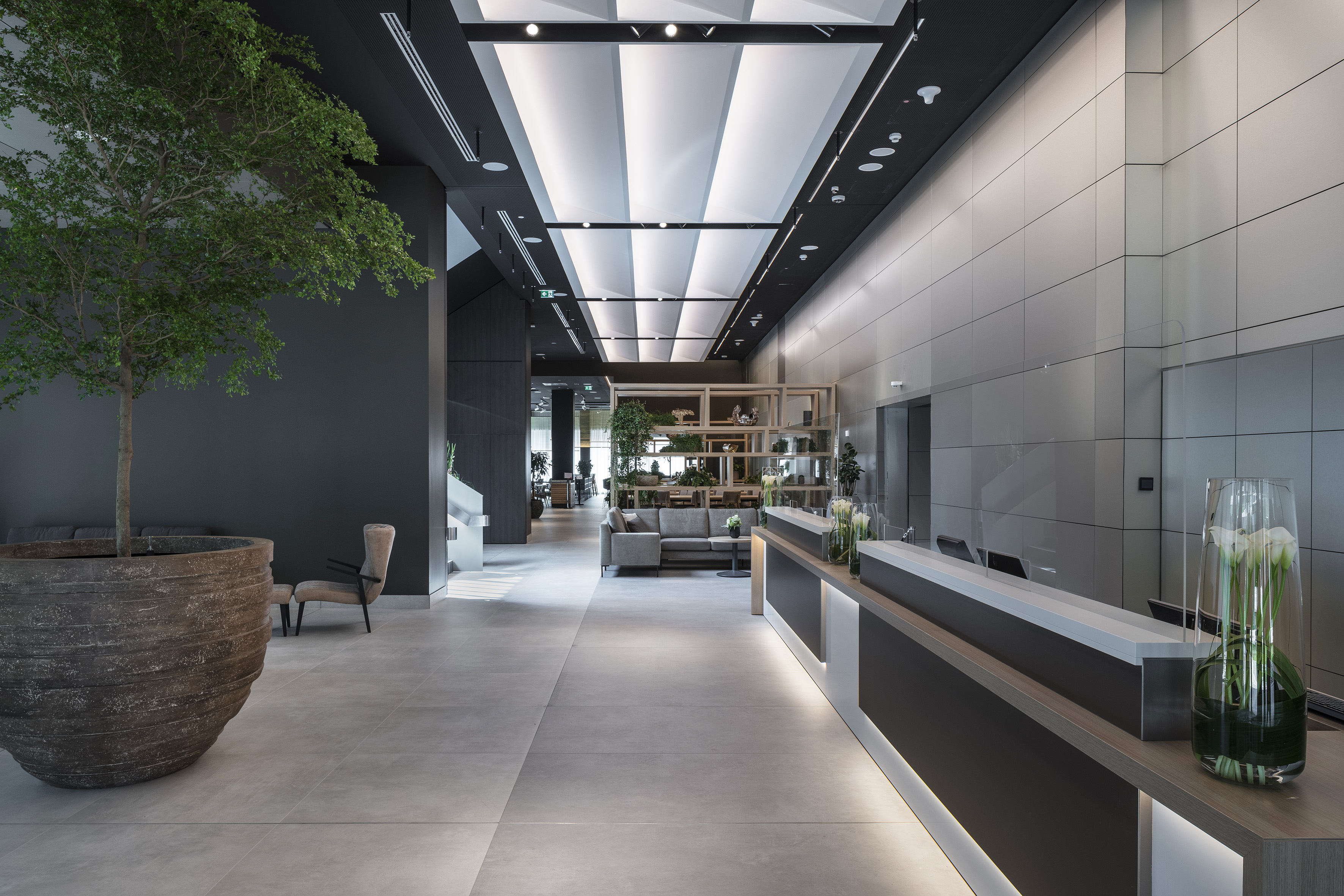 Modern hotel lobby with reception desk, large tree, and minimalist grey interior.