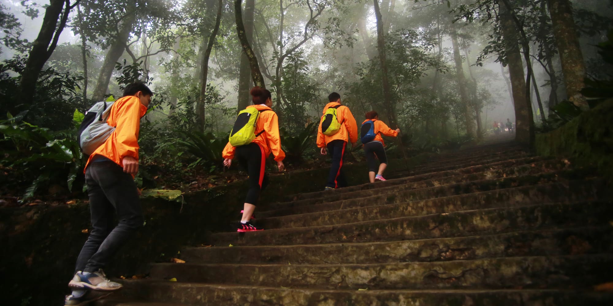 a group of people walking up stairs in the woods