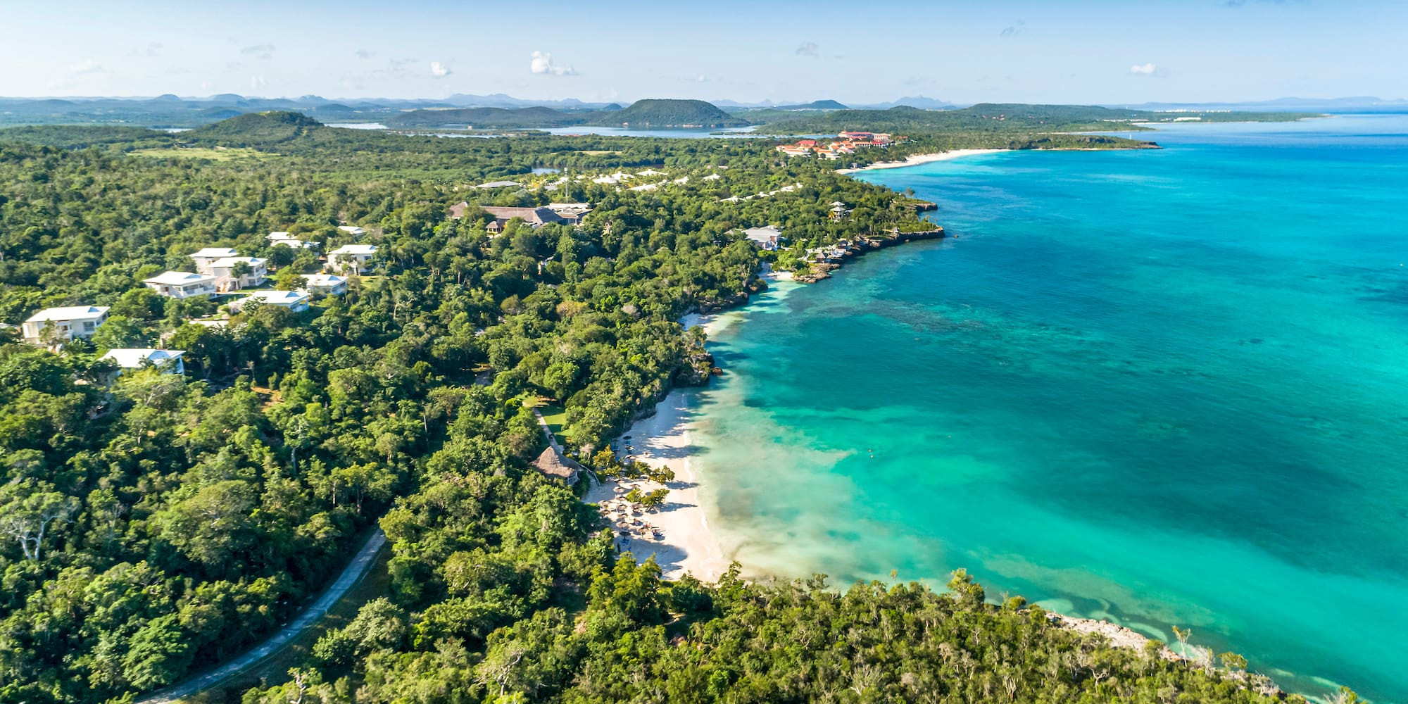 a aerial view of a beach and trees