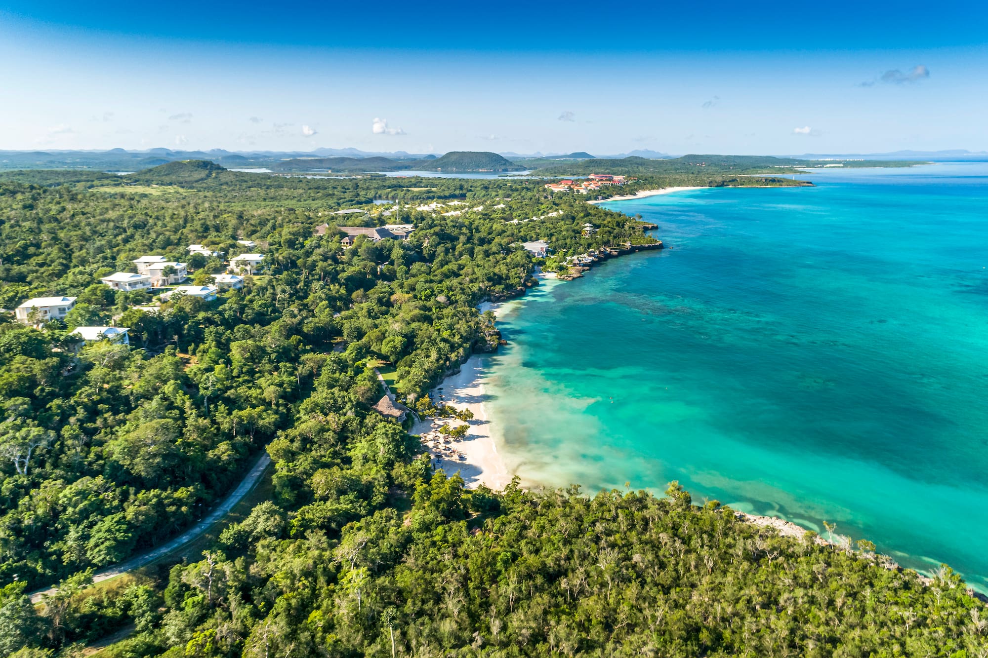 a aerial view of a beach and trees