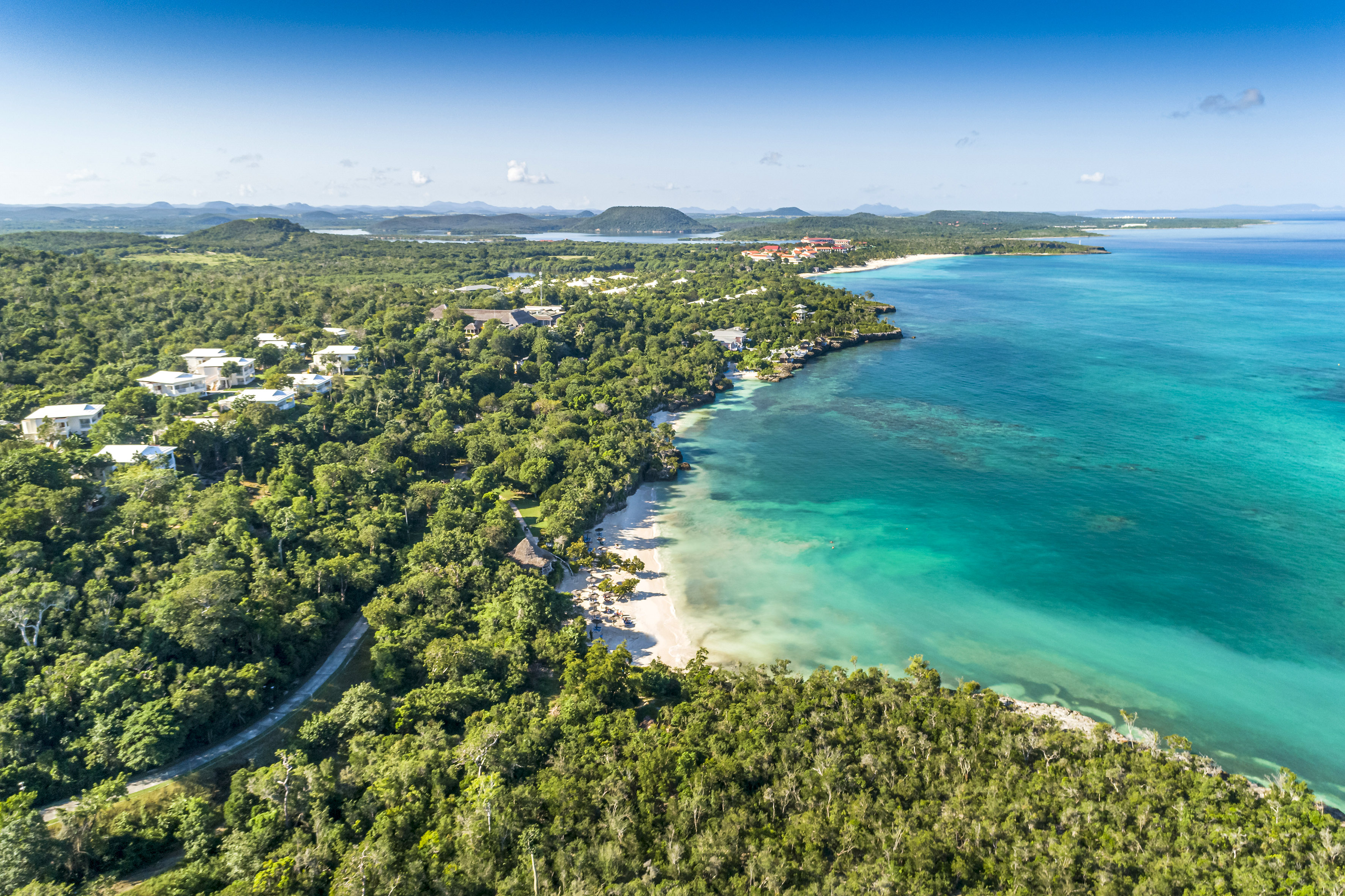a aerial view of a beach and trees