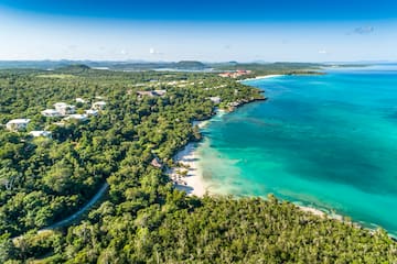 a aerial view of a beach and trees