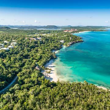 a aerial view of a beach and trees