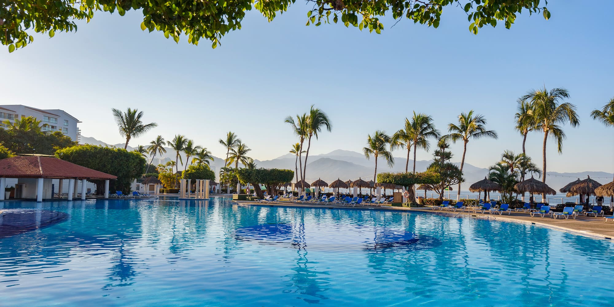 a pool with palm trees and a beach in the background