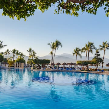 a pool with palm trees and a beach in the background