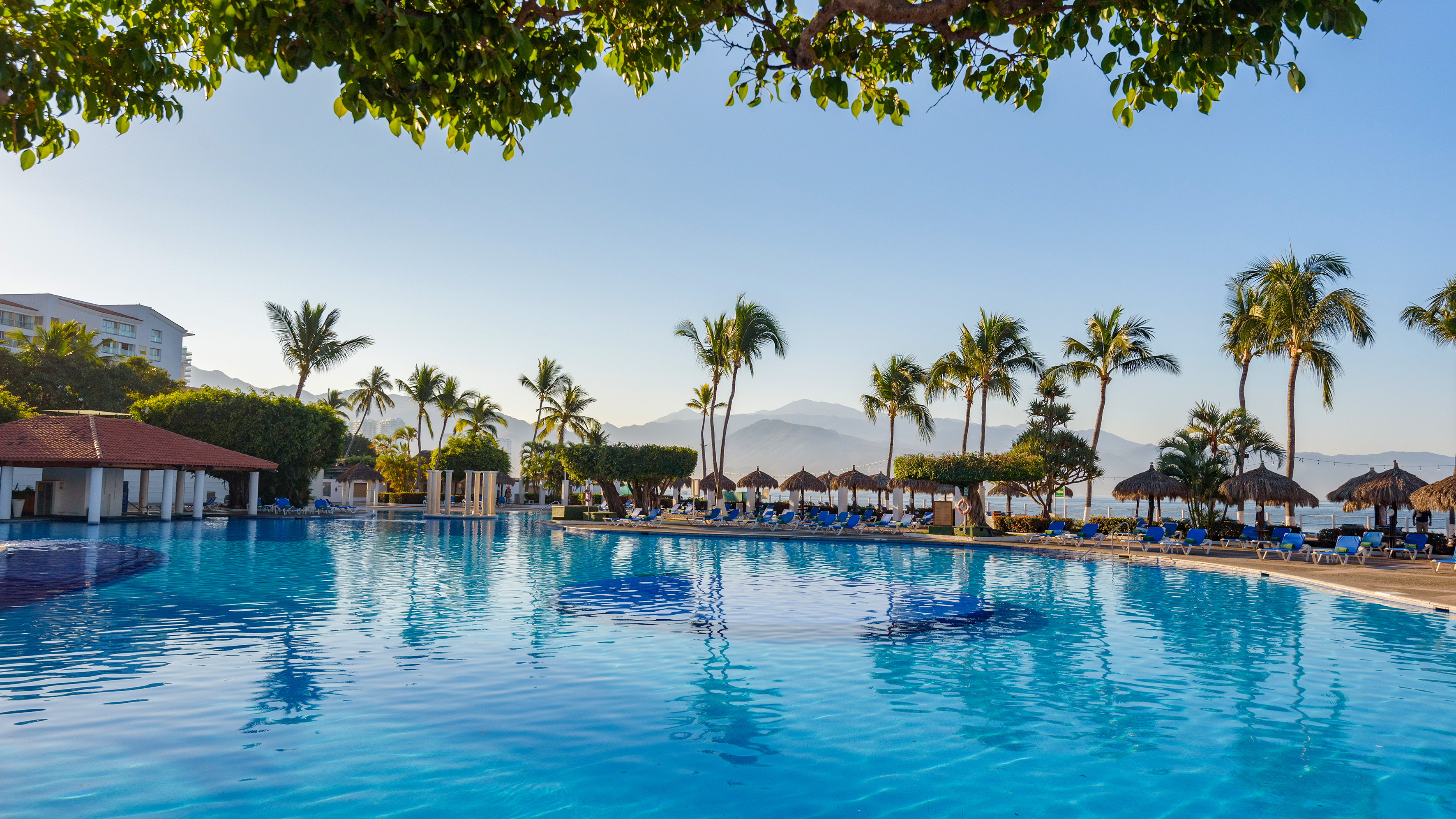 Sunny hotel pool with palm trees, palapas, lounge chairs, and mountain backdrop.