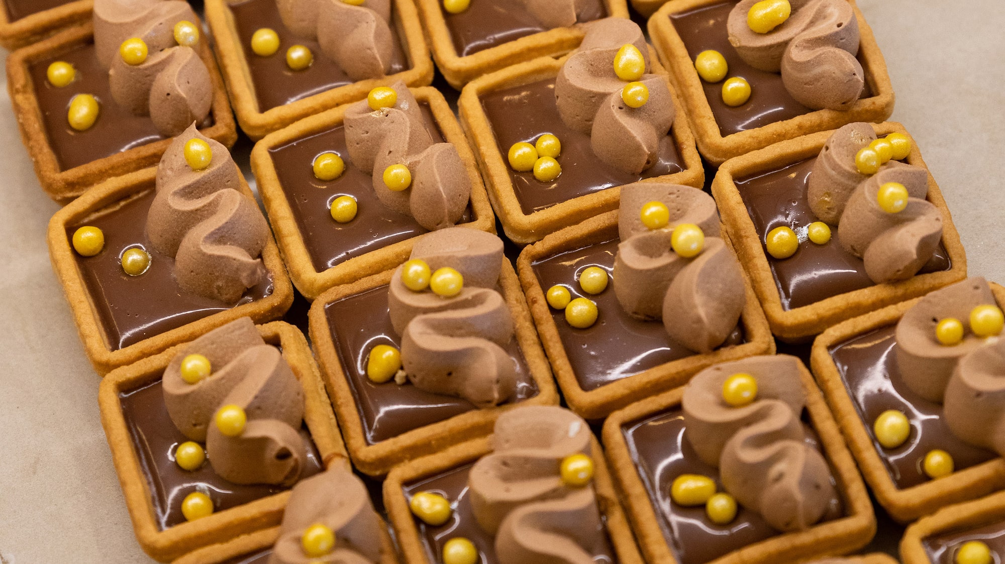 a group of cookies with chocolate frosting
