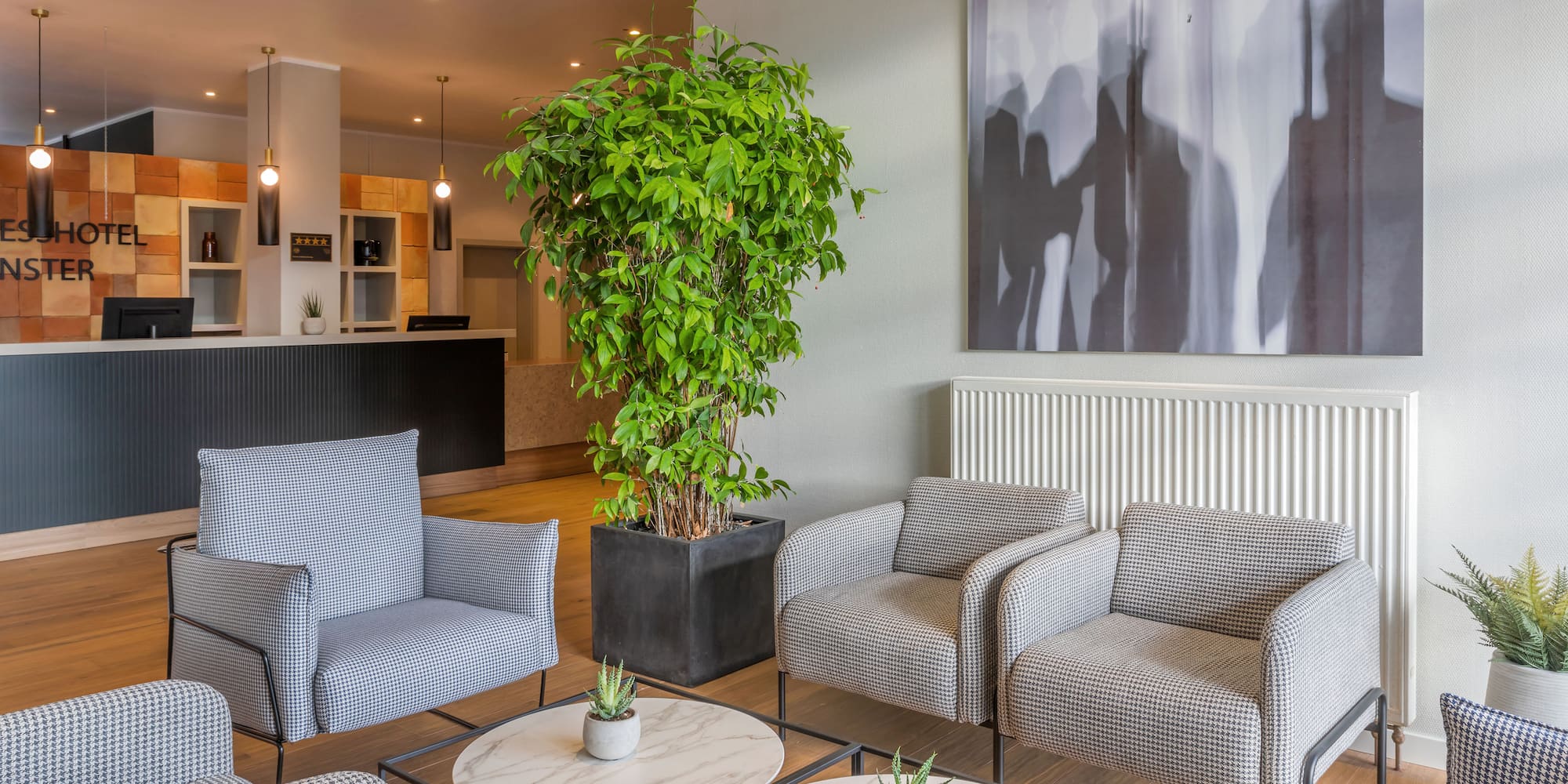 a room with chairs and a plant