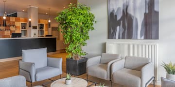 a room with chairs and a plant